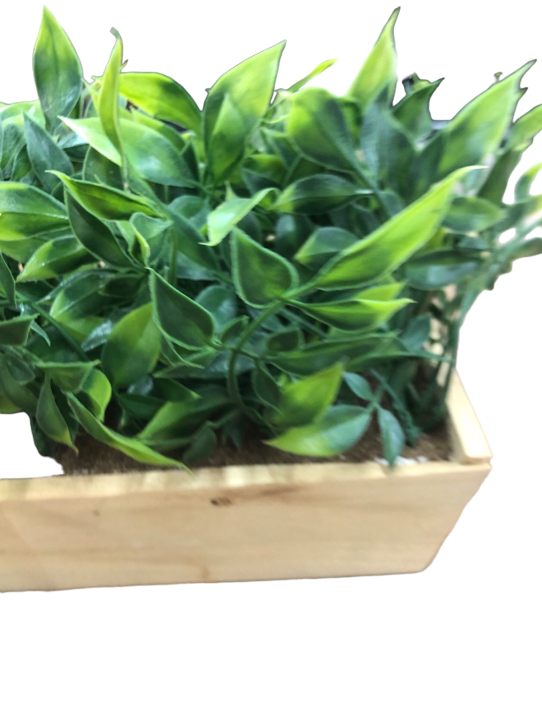Faux plant in long wooden box