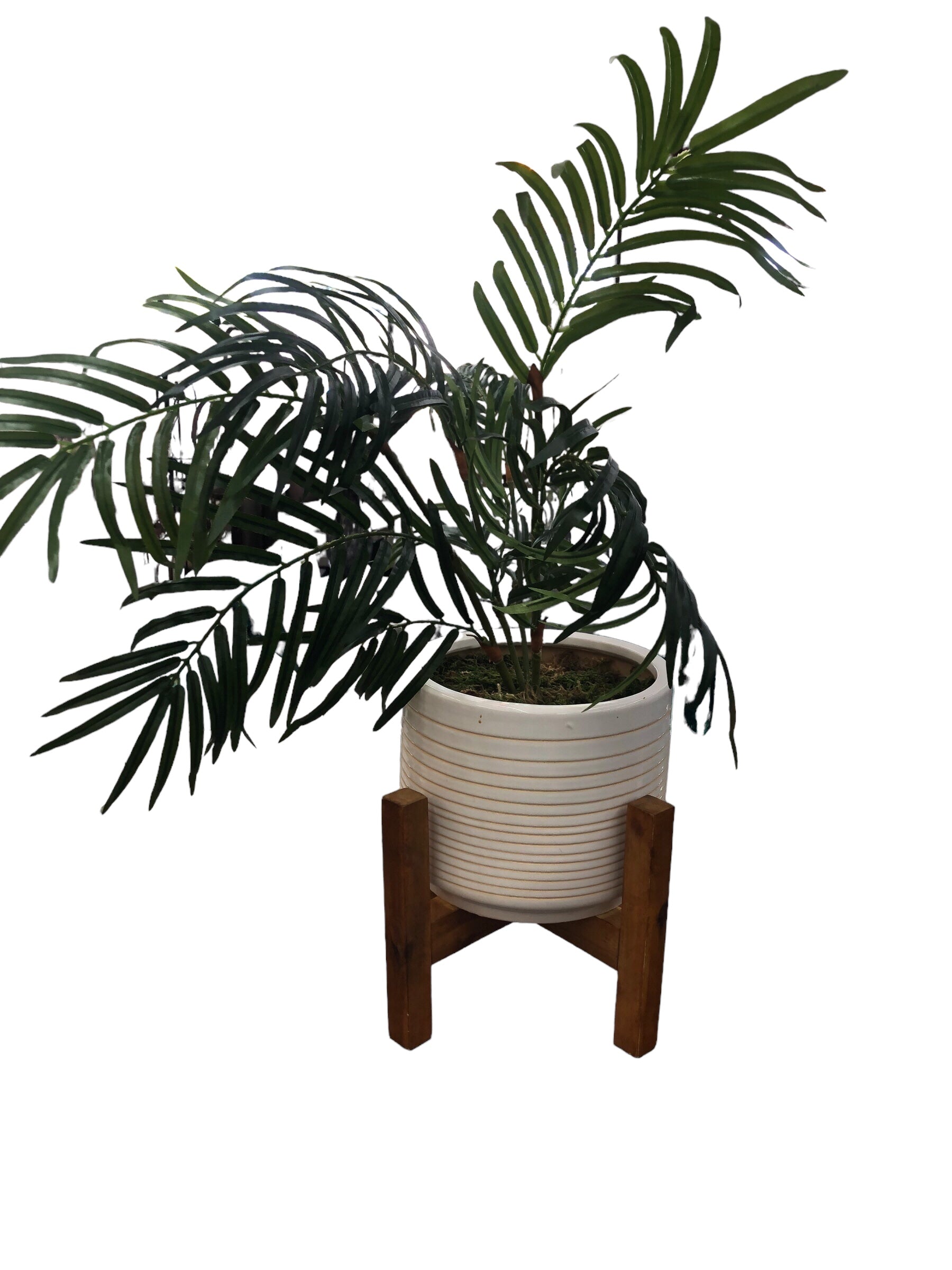 faux plant in pot/ stand