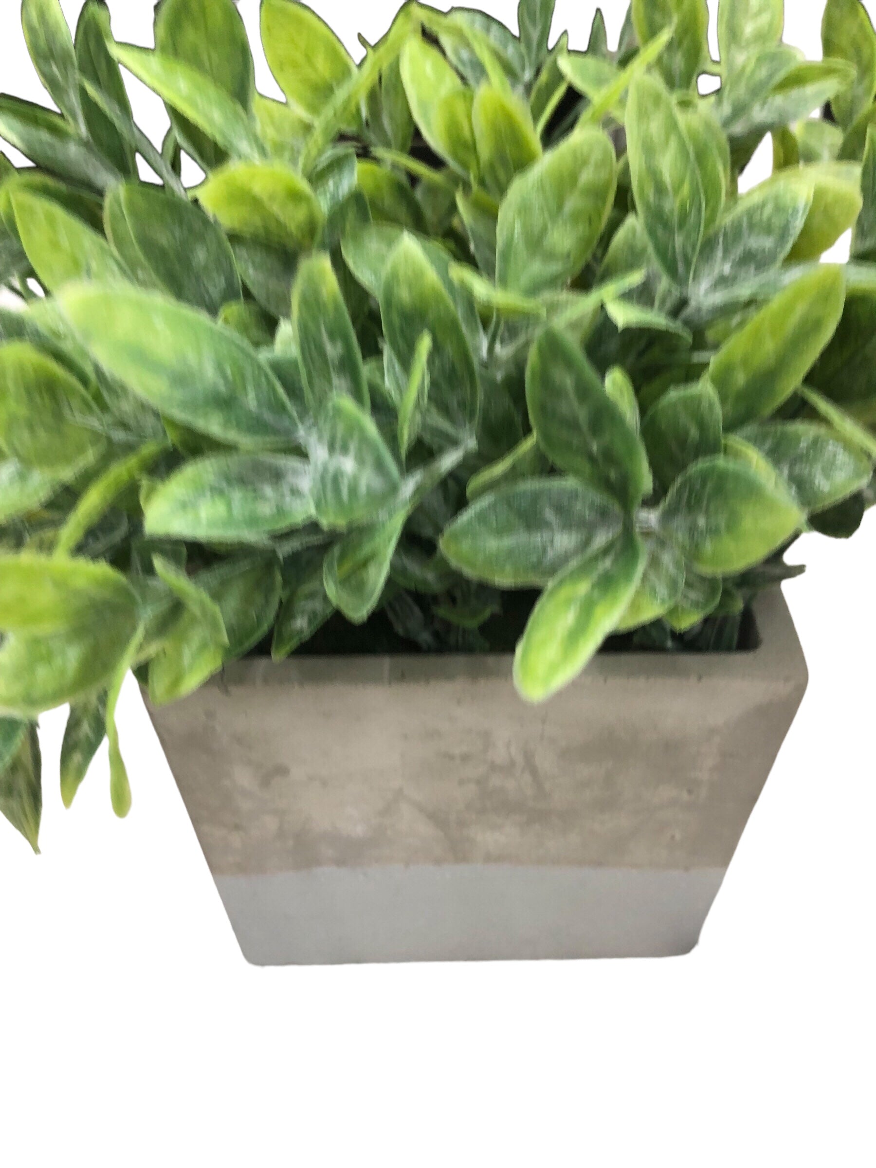 Greenery in Ceramic grey vase