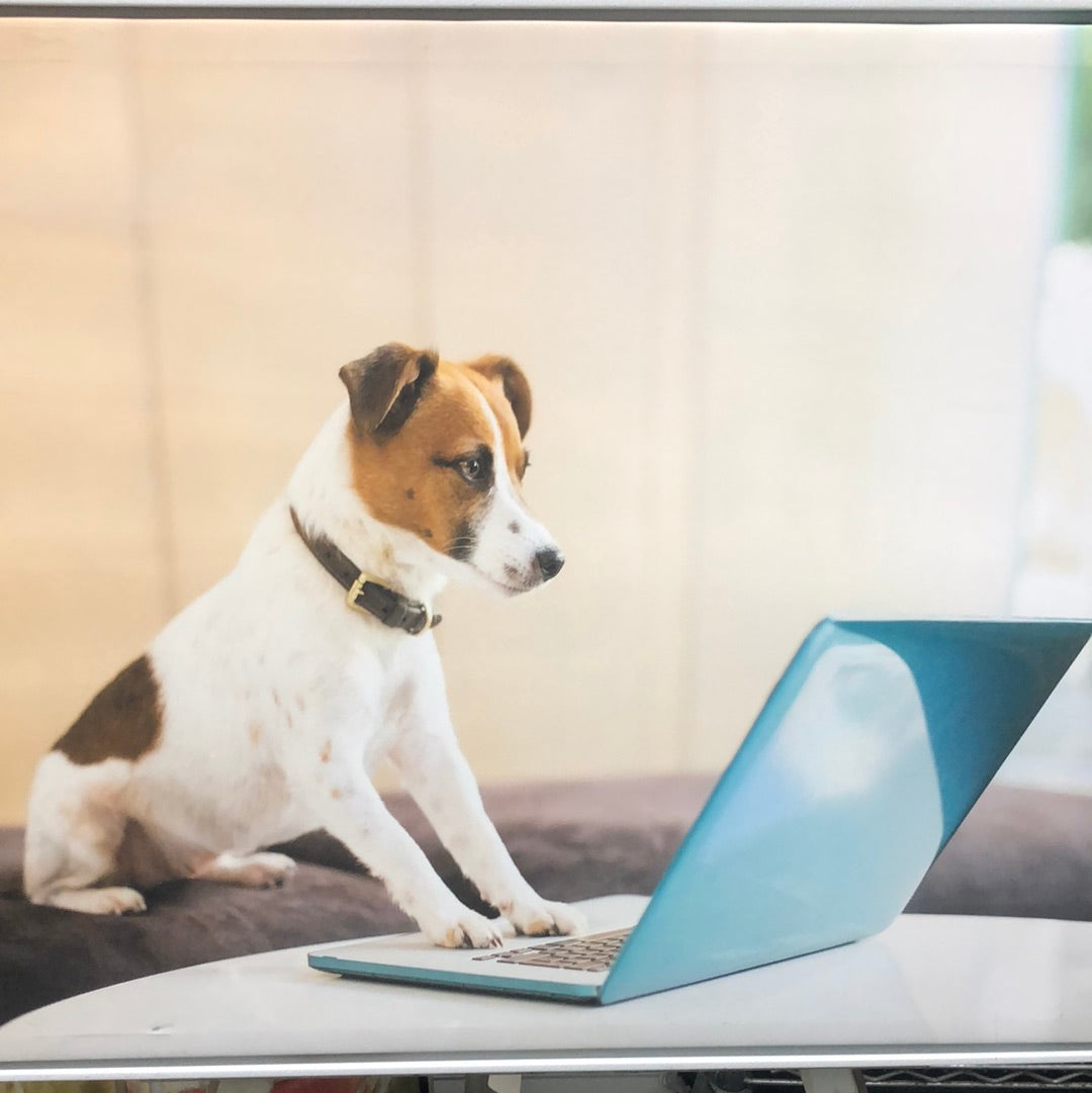 Dog on laptop canvas