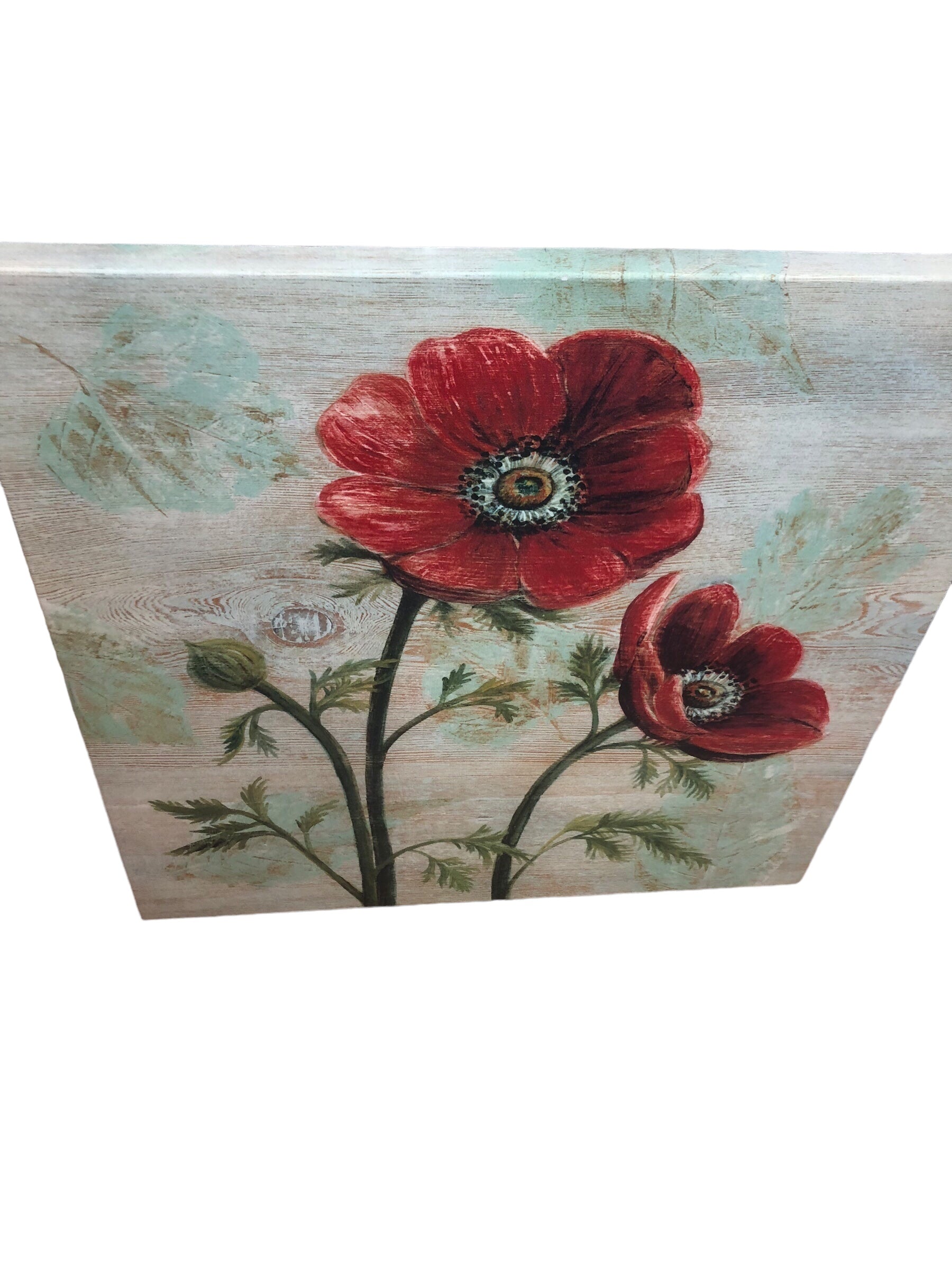 Poppies with Green Background Picture
