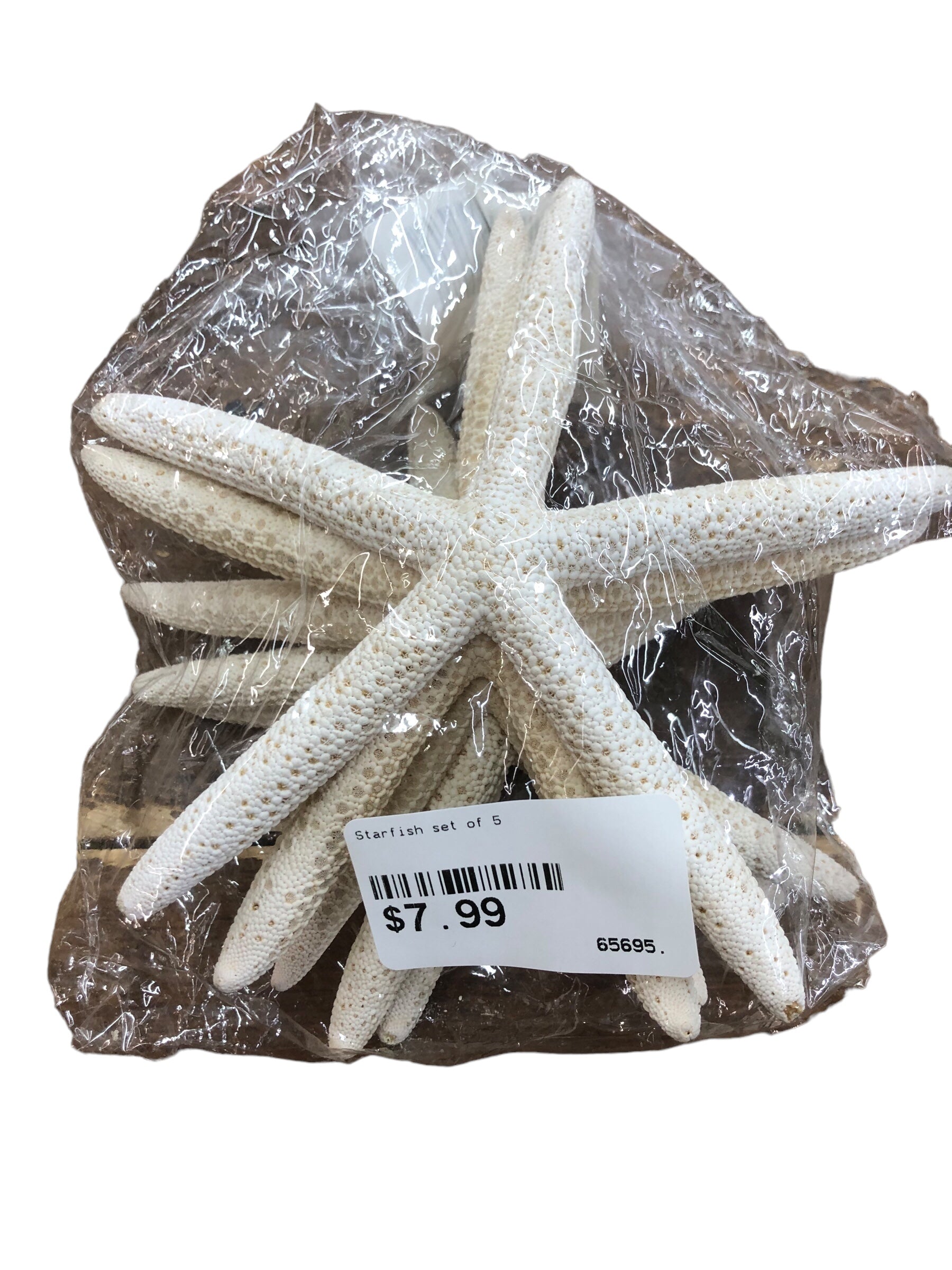 Starfish set of 5
