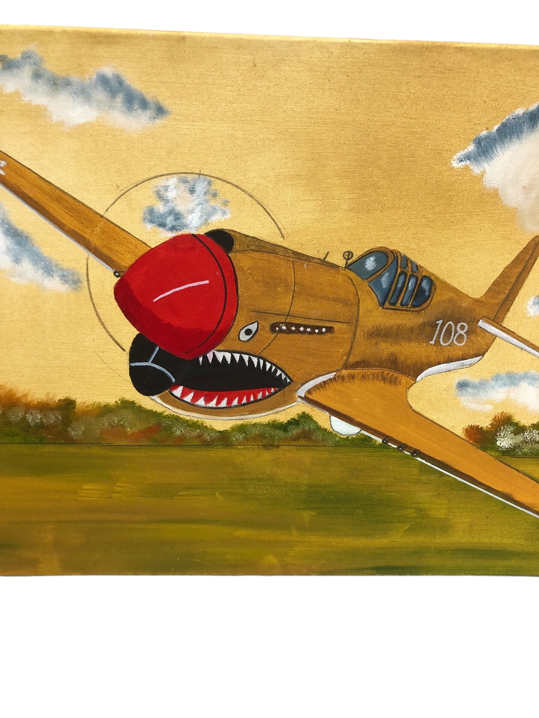 P40 Warhawk Airplane Painting