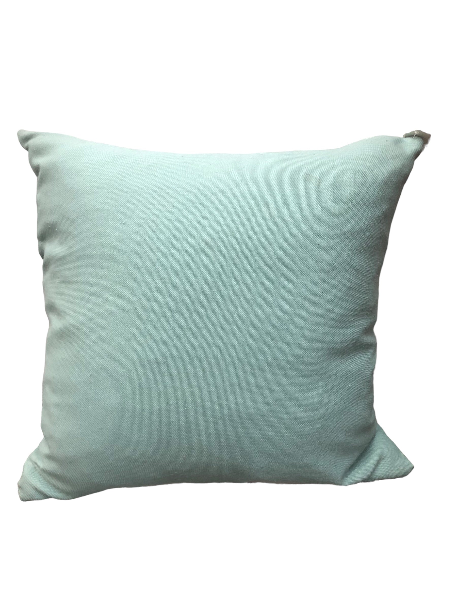 Light Aqua Pillow
