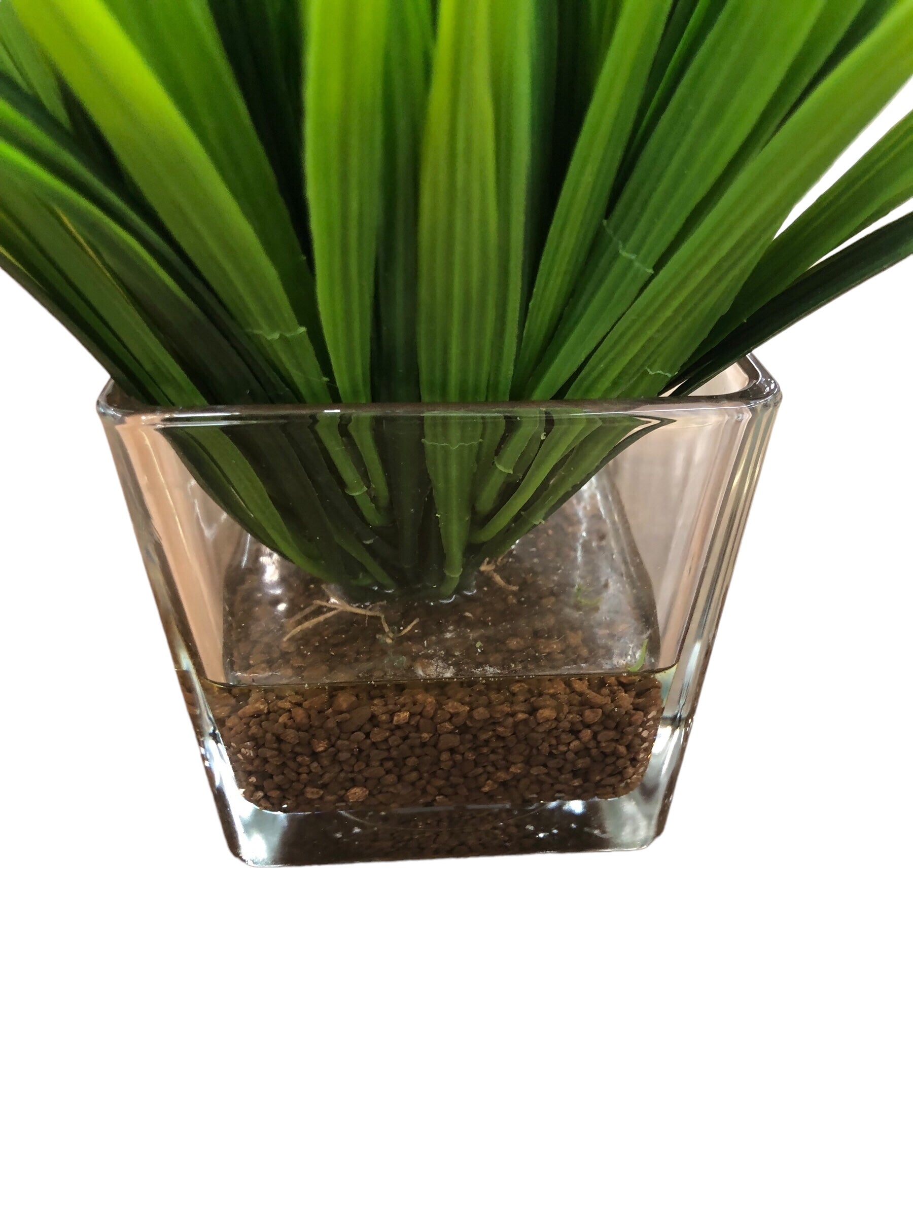 Plastic Grass in Square Vase