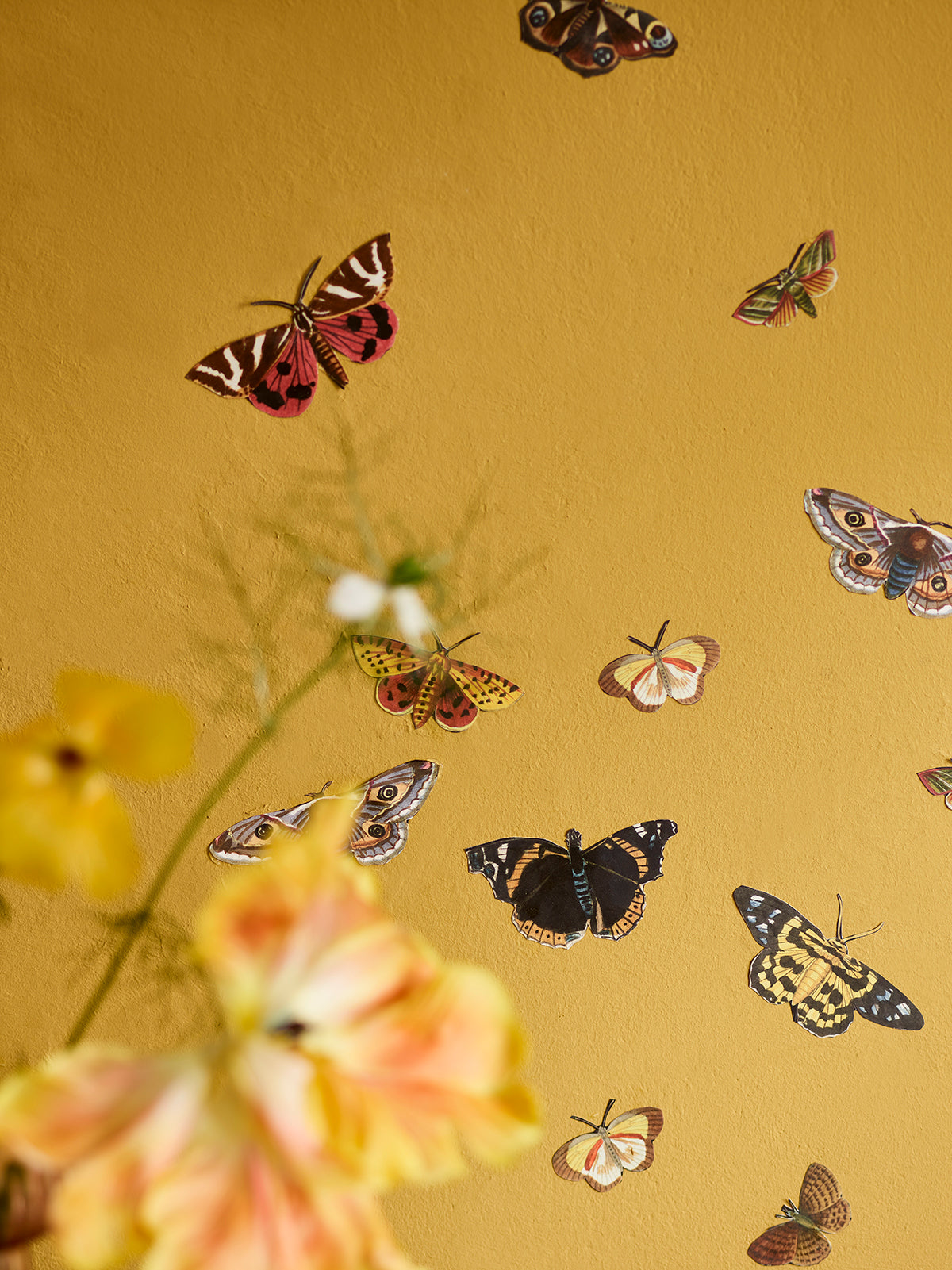 RHS Decoupage Paper Winged Wildlife