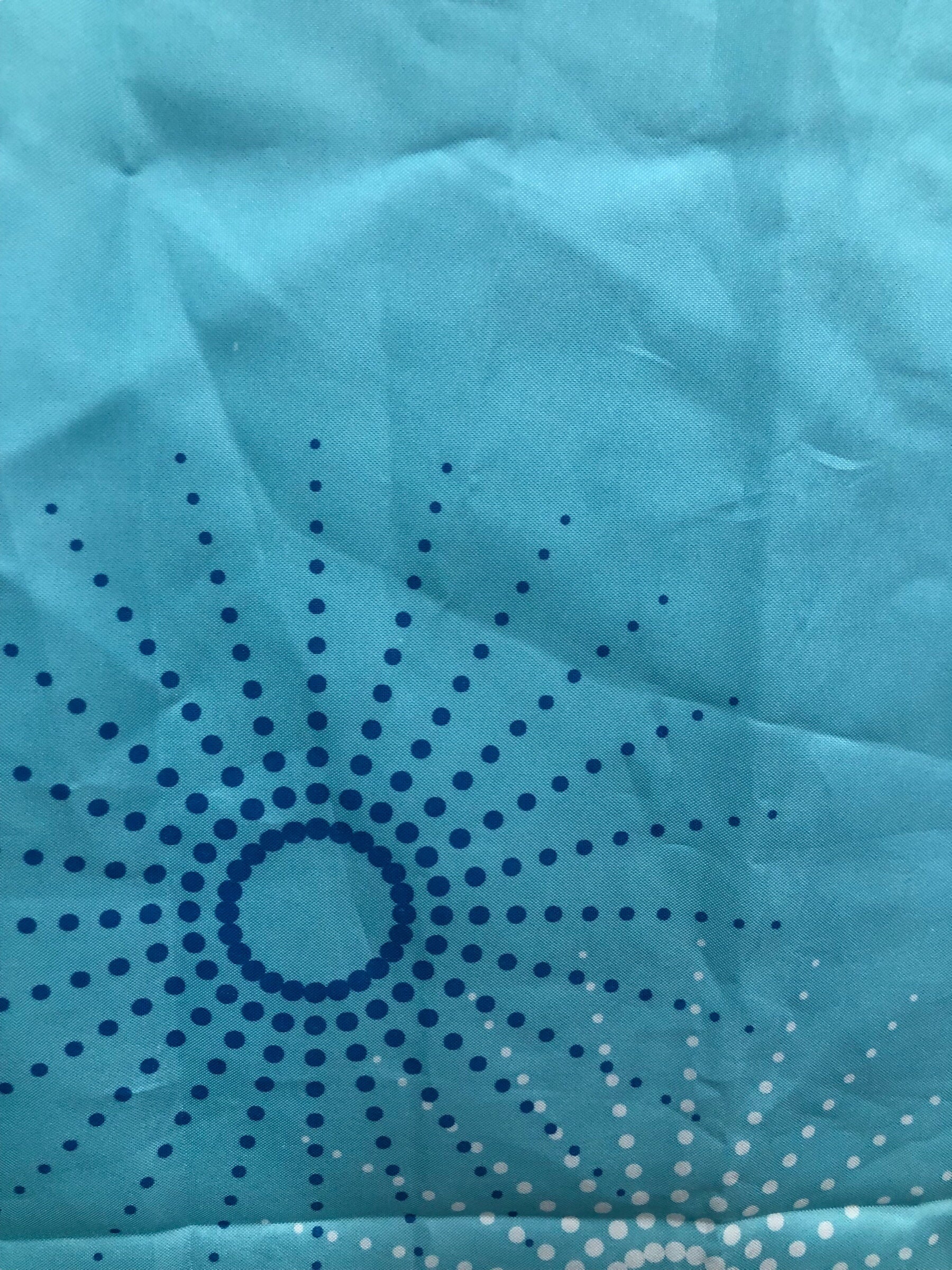 Star Burst Aqua Shower Curtain