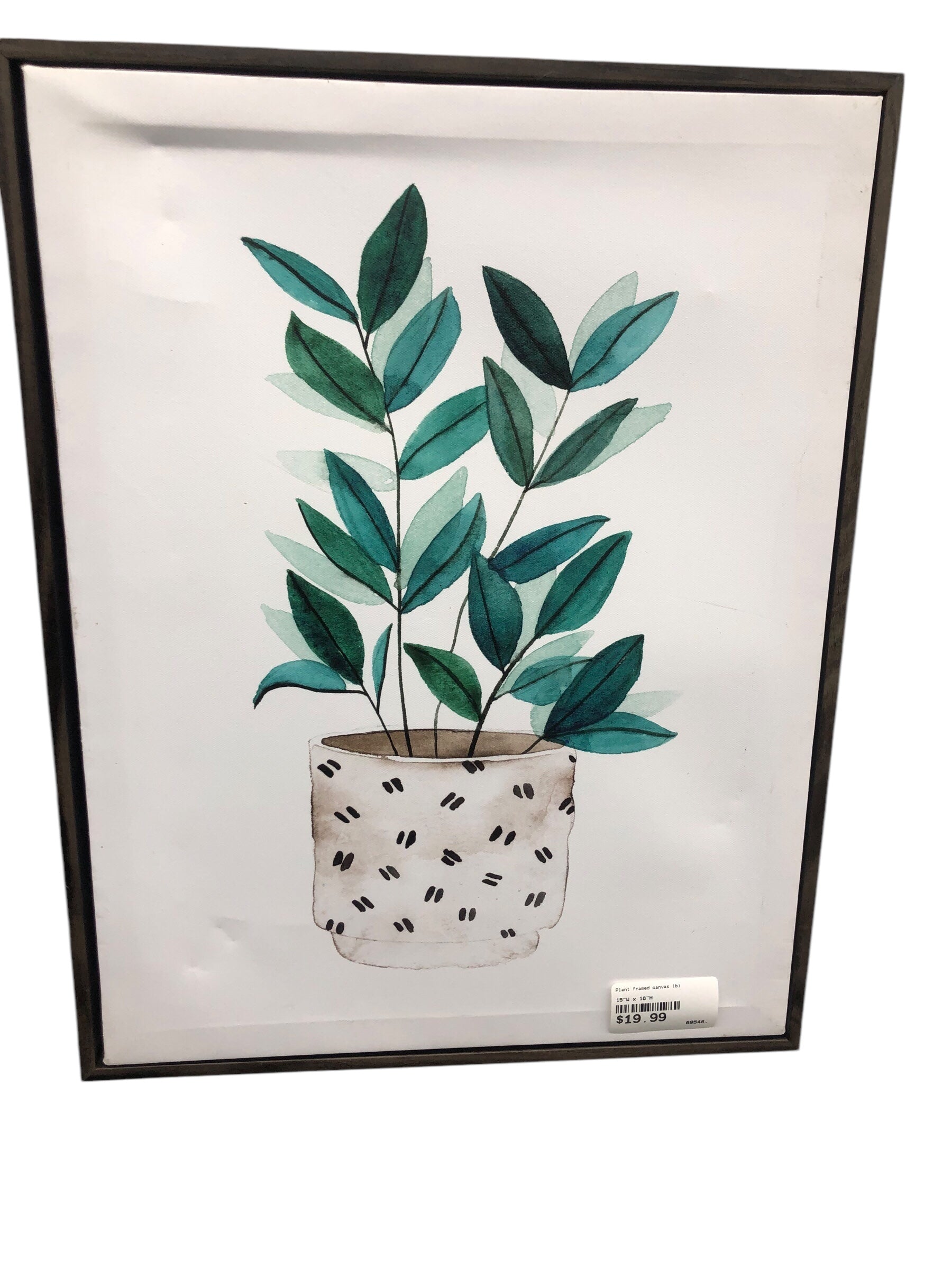 Plant framed canvas (b)