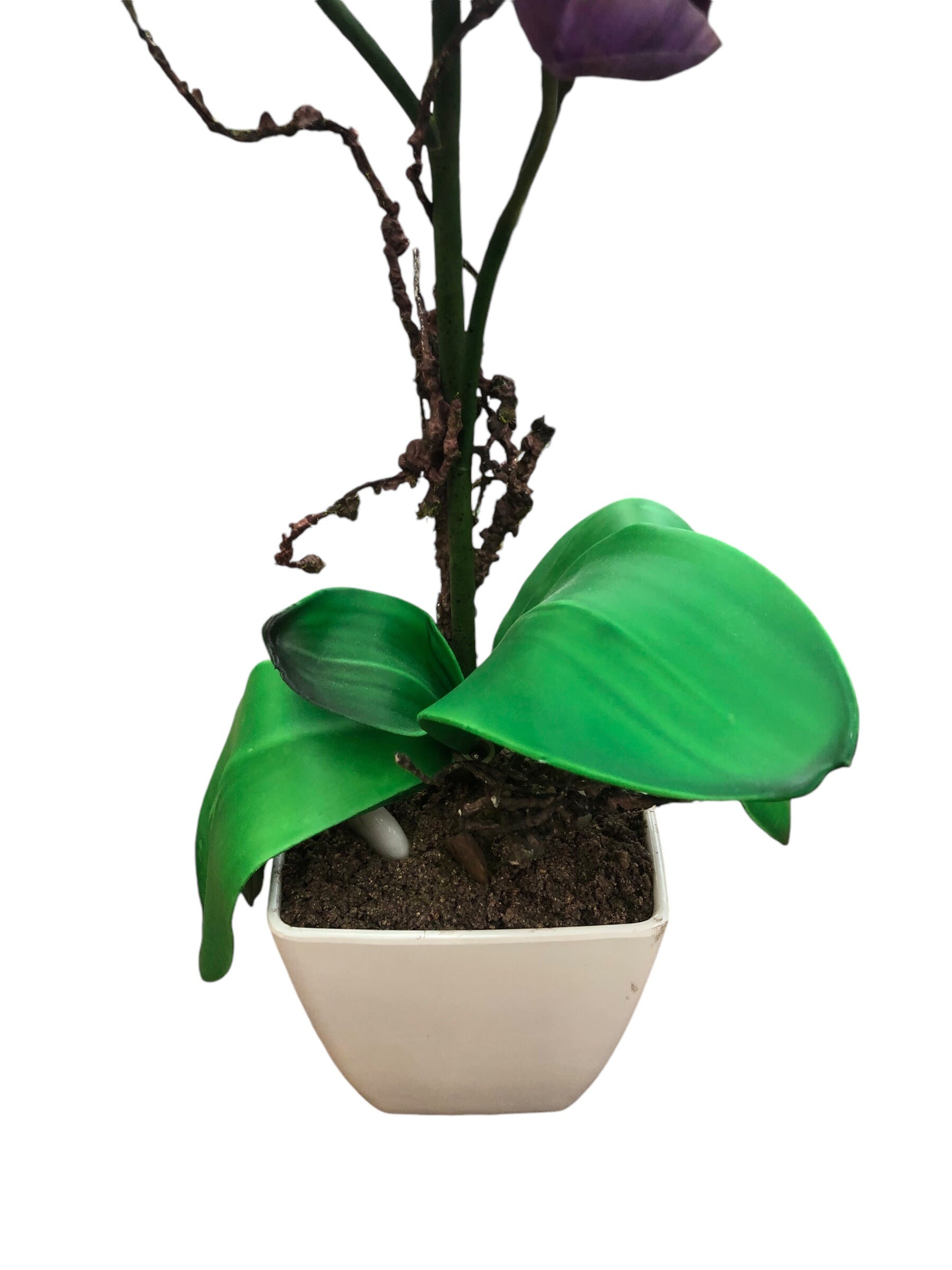 Faux Orchid in Pot