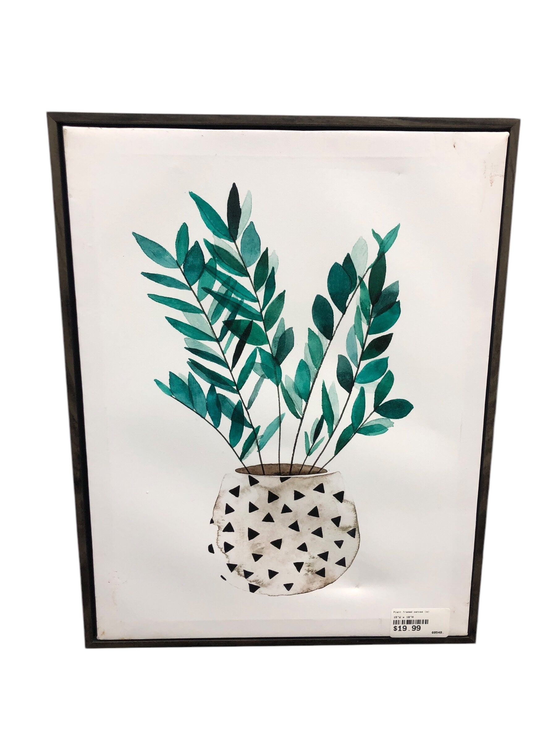 Plant framed canvas (a)