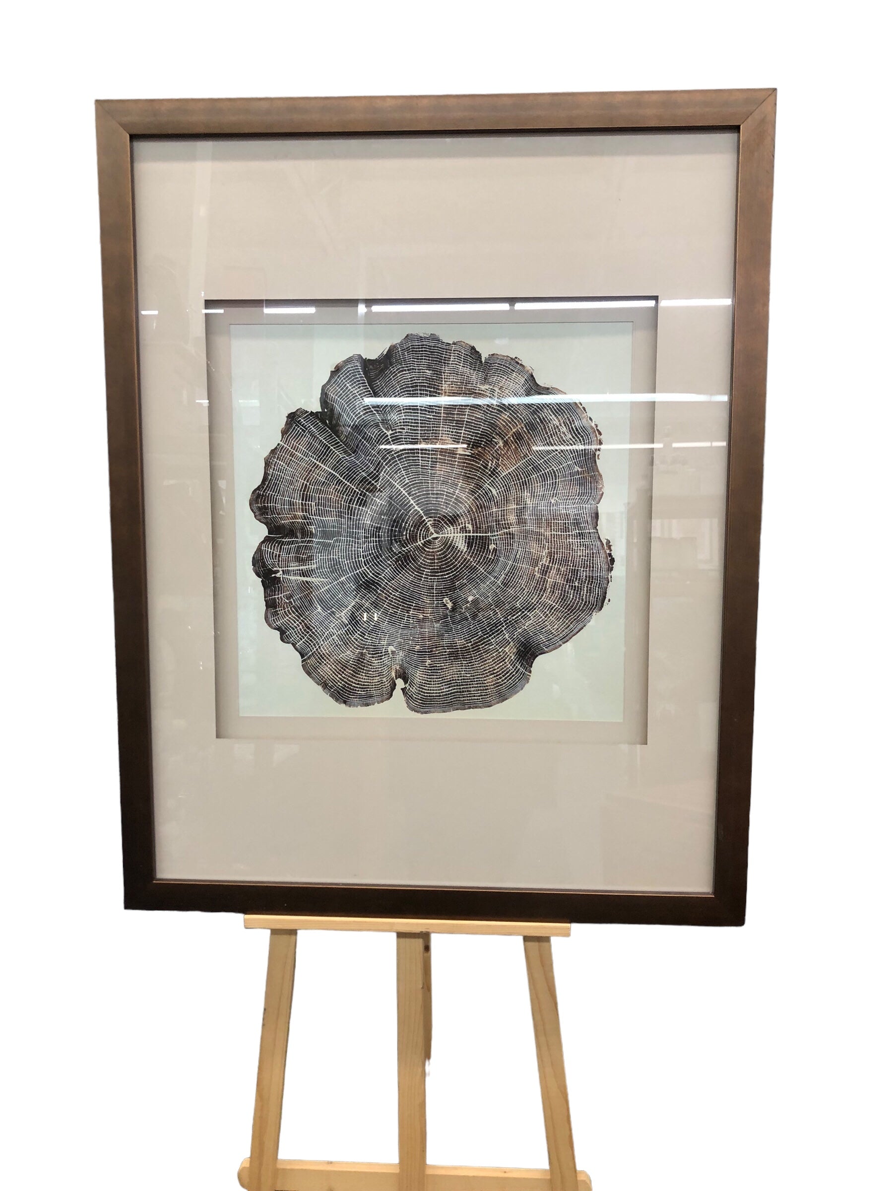 Tree bark framed art