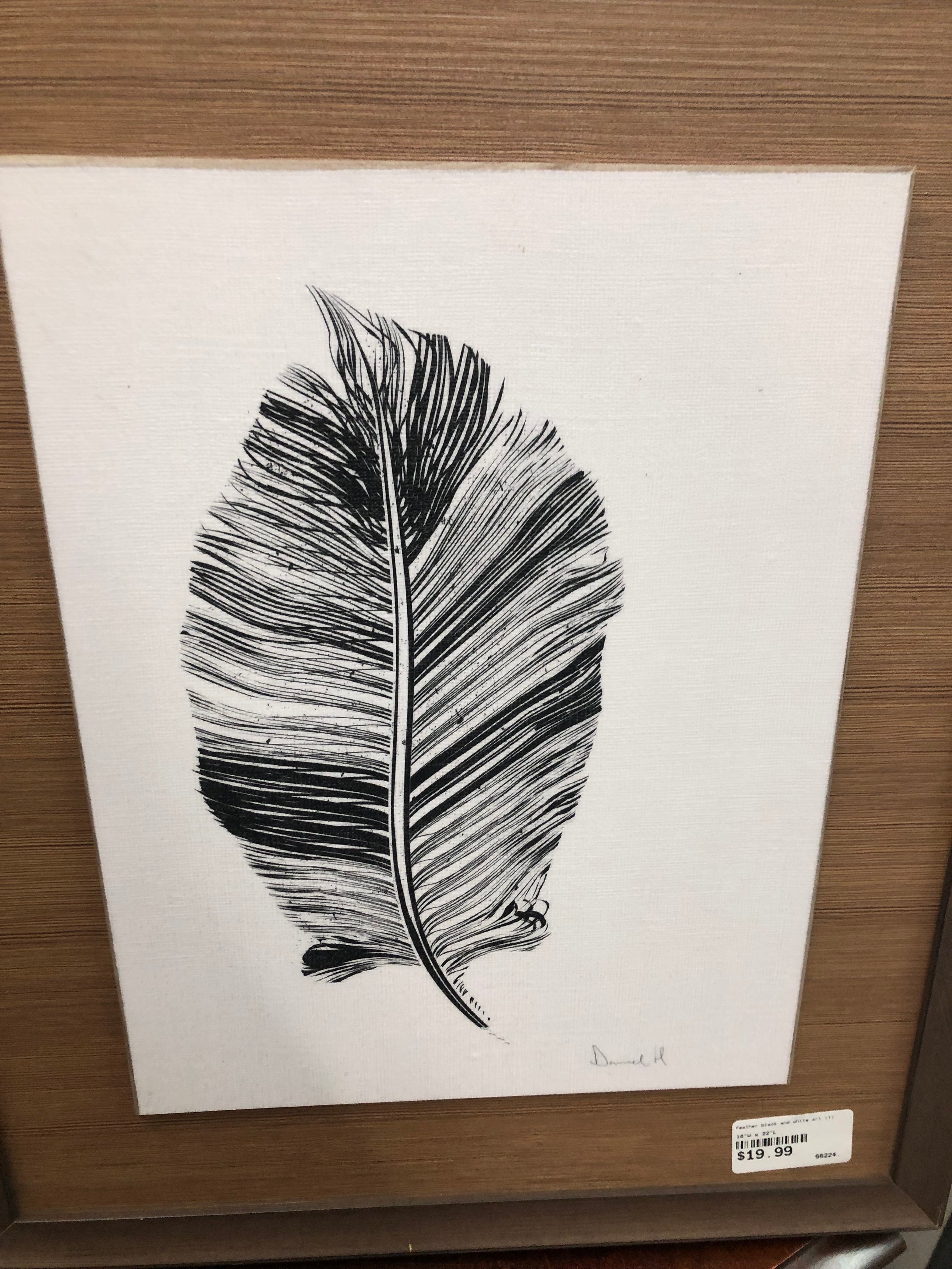 Feather black and white art (1)