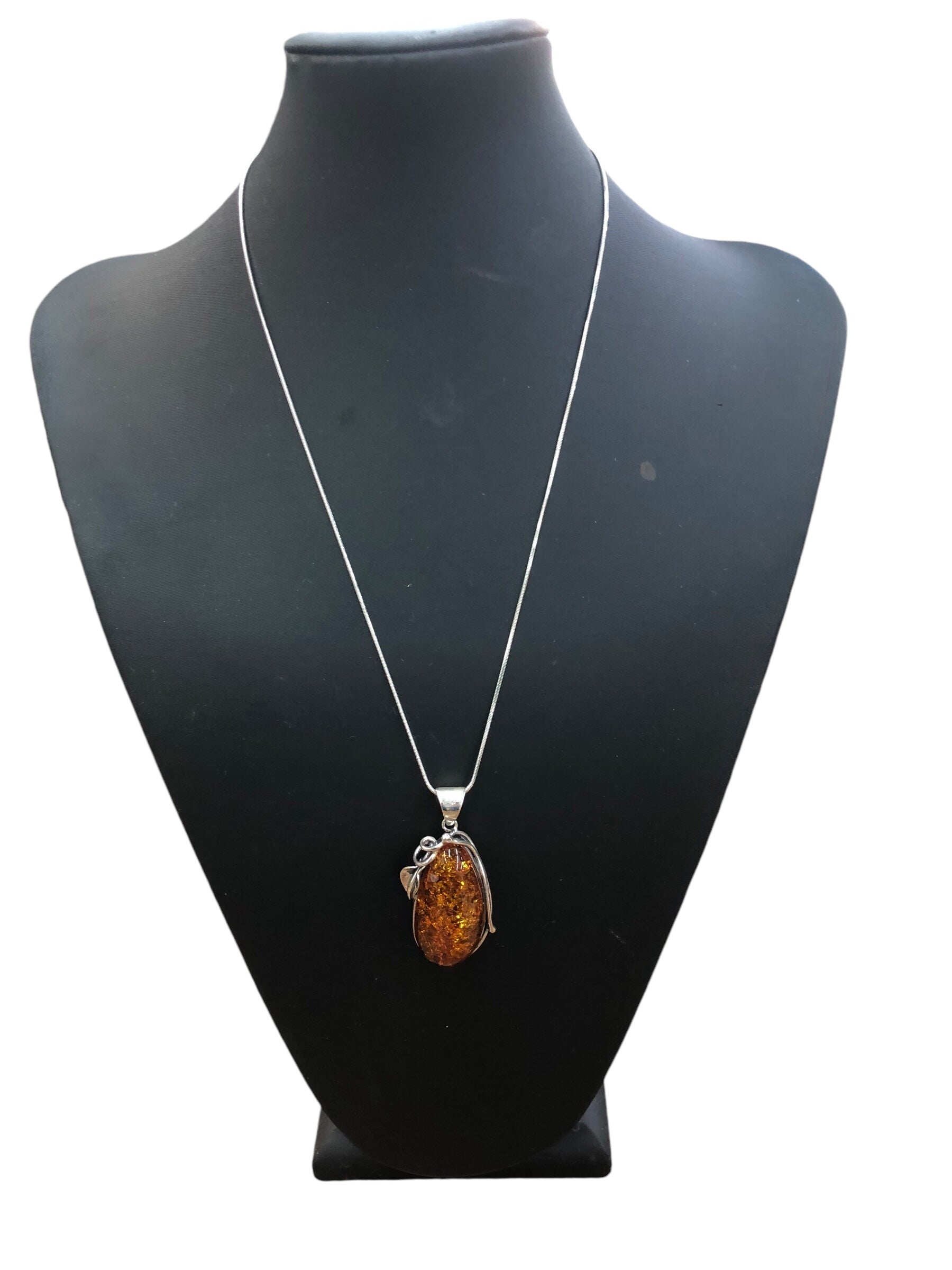 Baltic Amber from Northern Europe