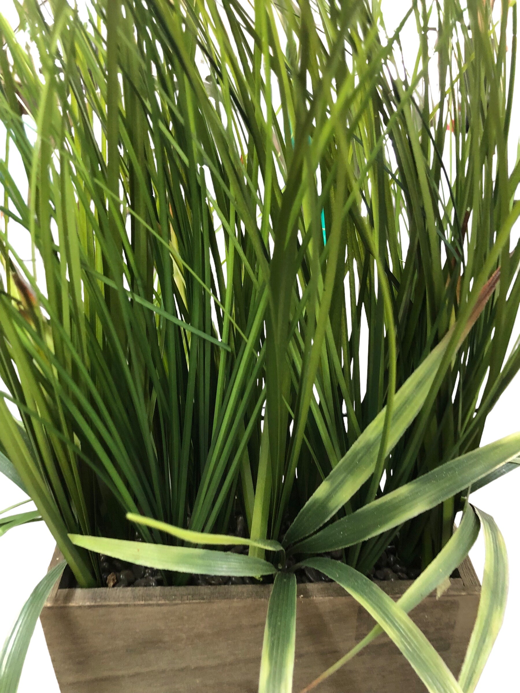 Long grass in wood vase