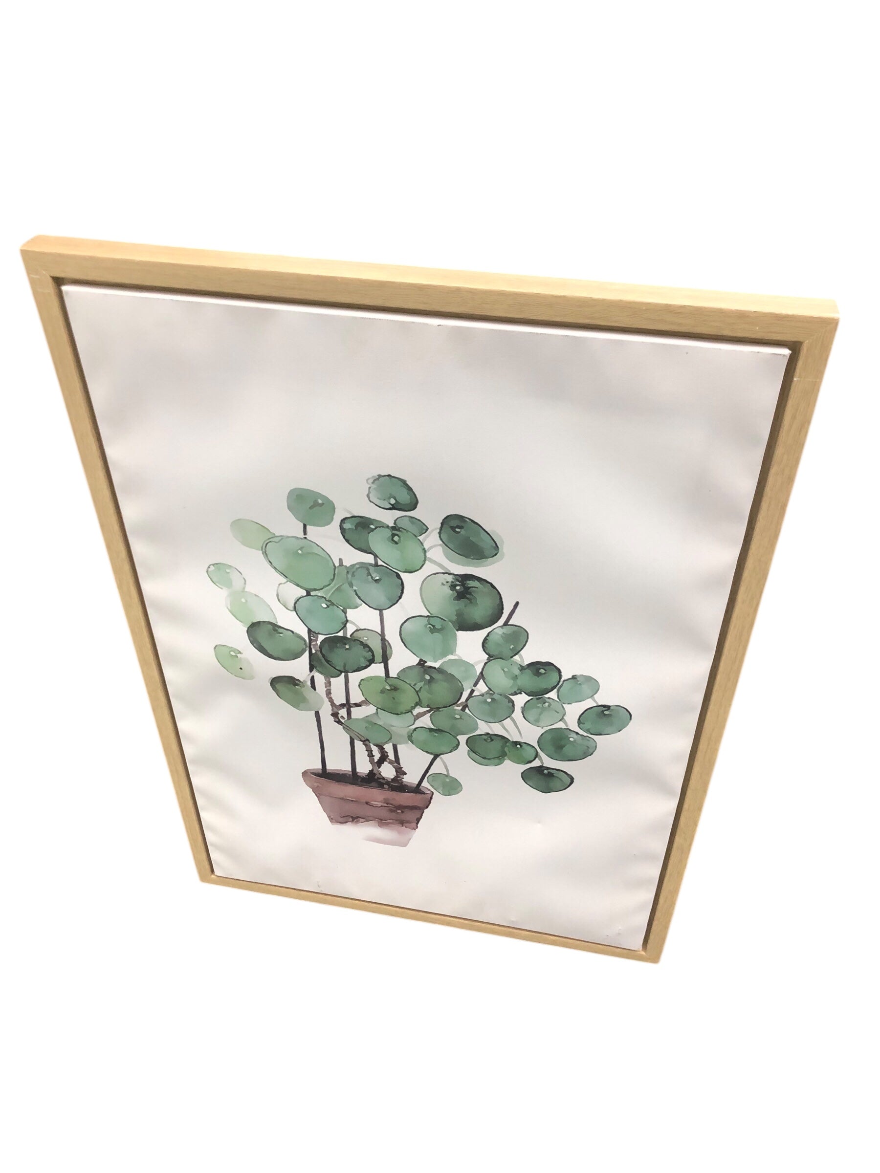 Wooden framed plant canvas