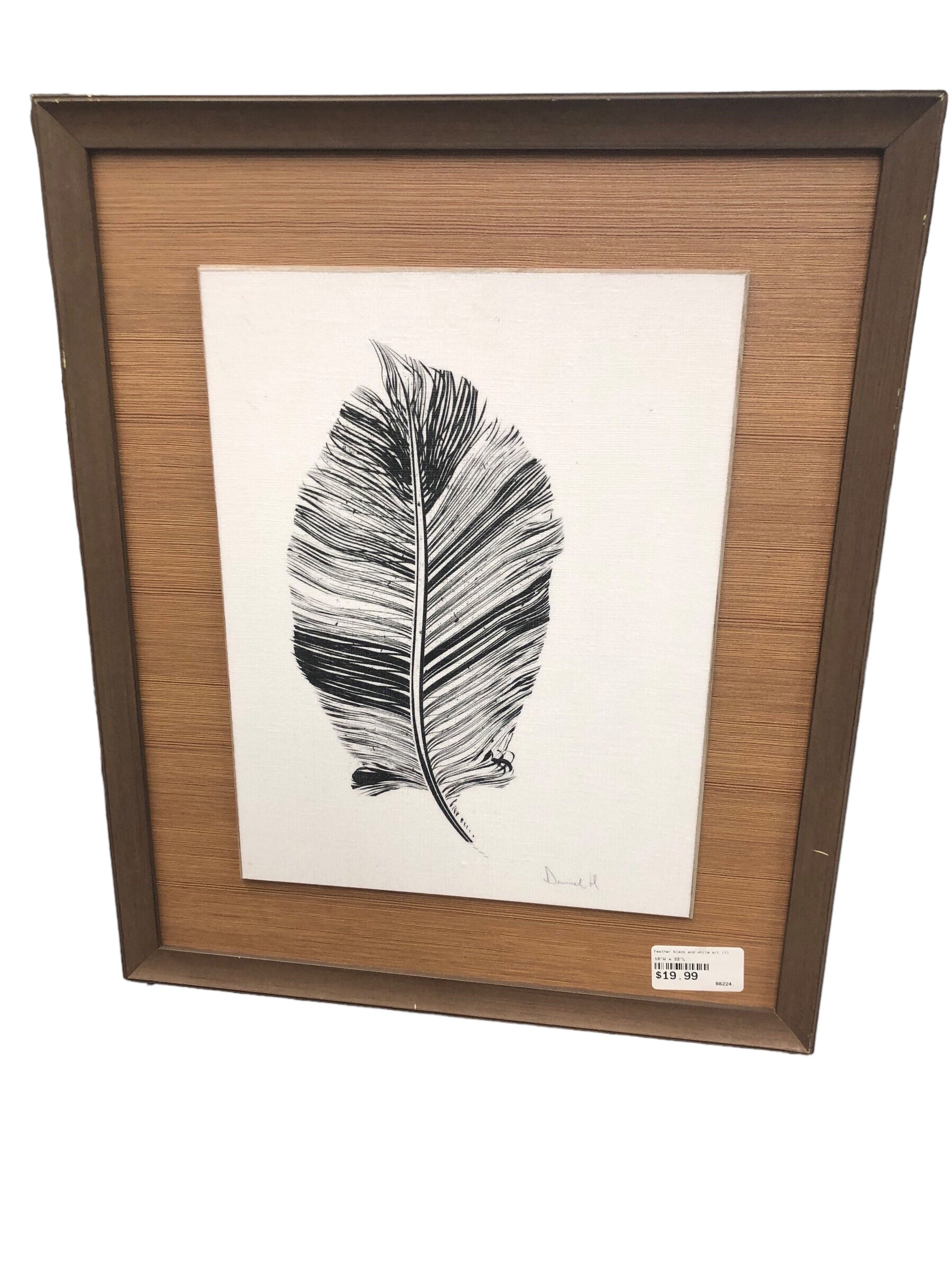 Feather black and white art (1)