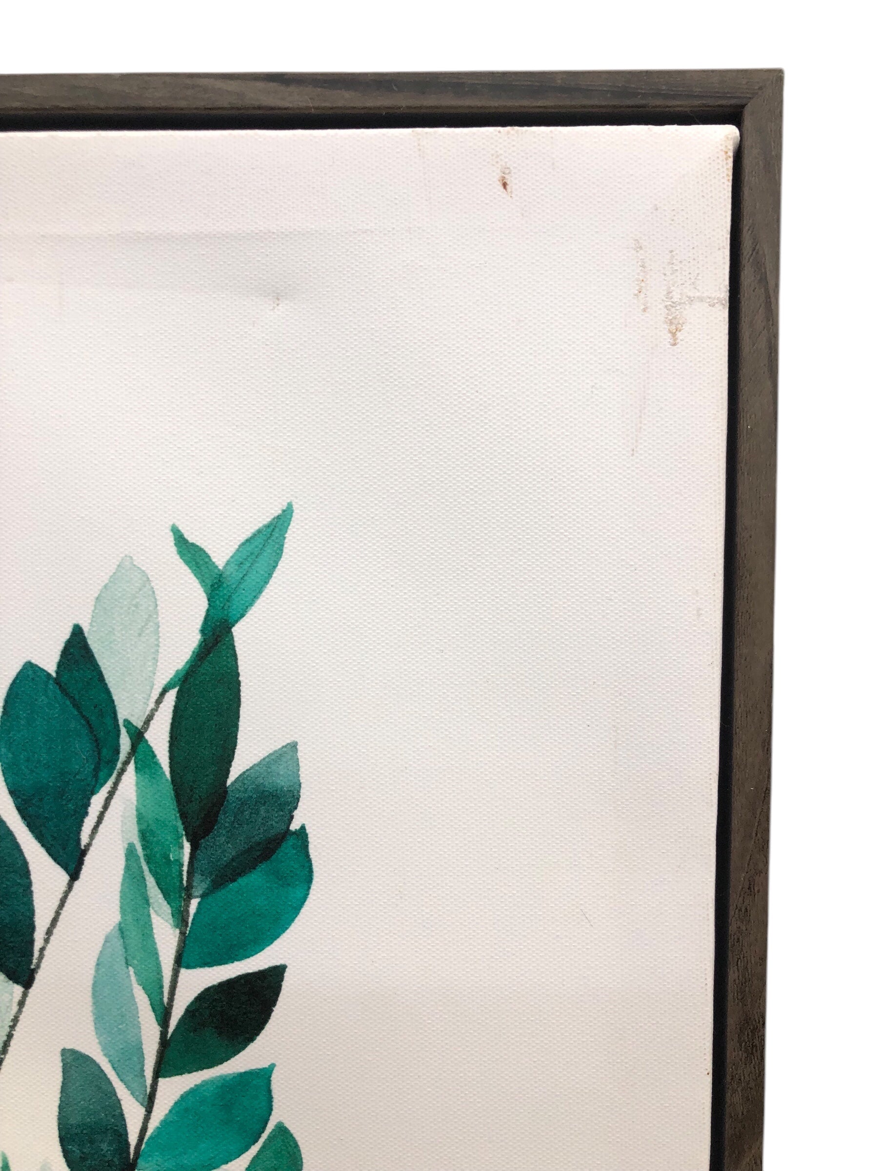 Plant framed canvas (b)