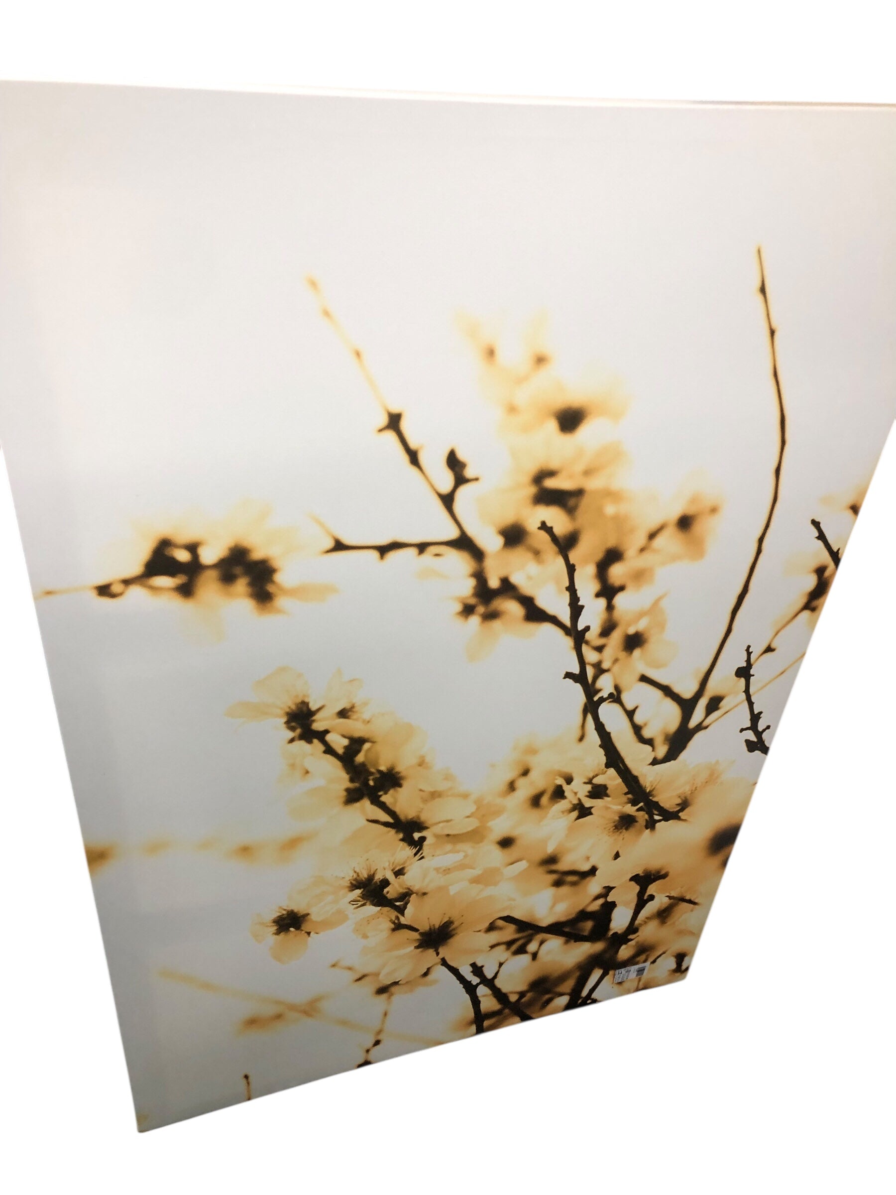 Floral canvas