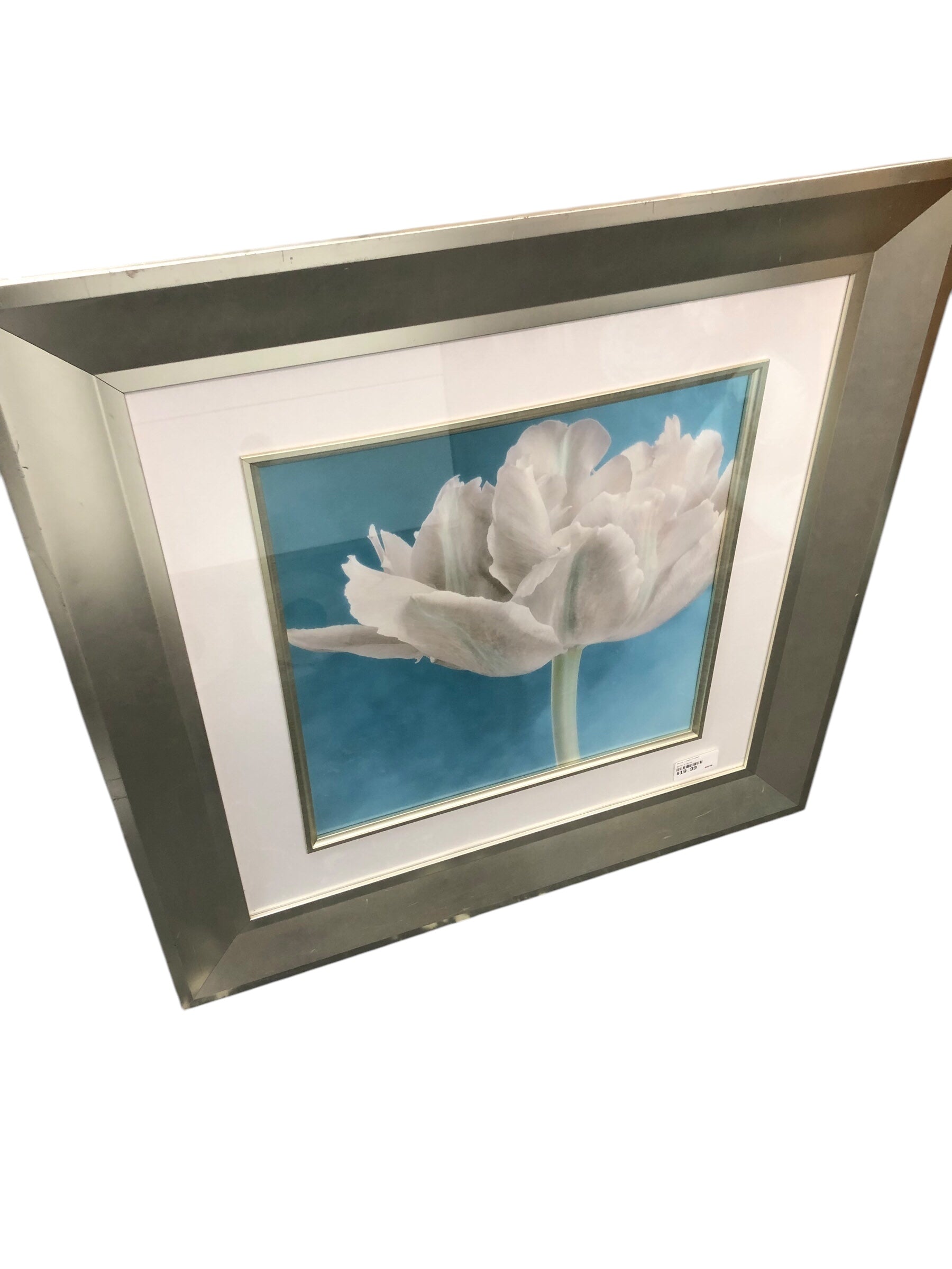 White flower/framed