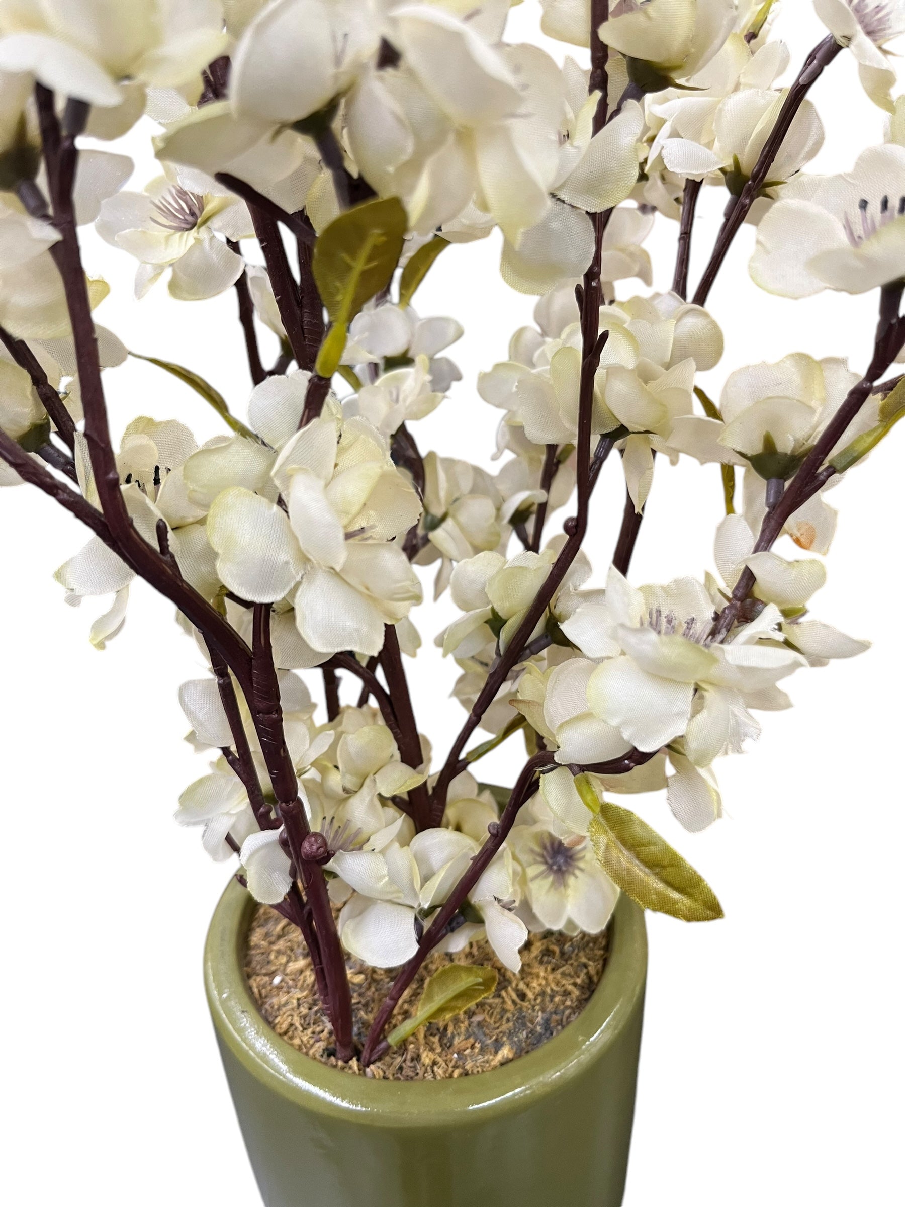 White Flowers in Green Vase