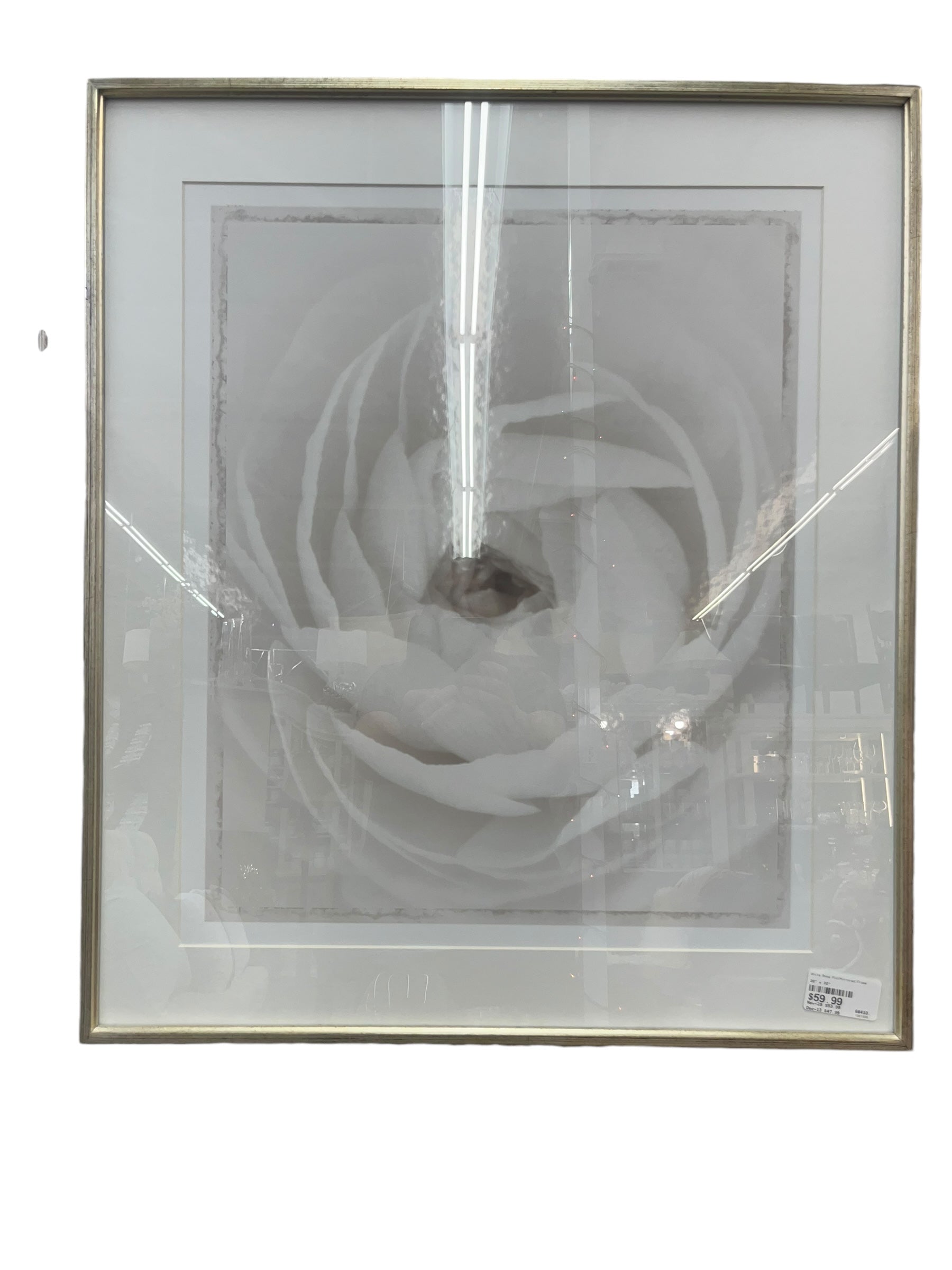 White Rose Pic/Mirrored Frame