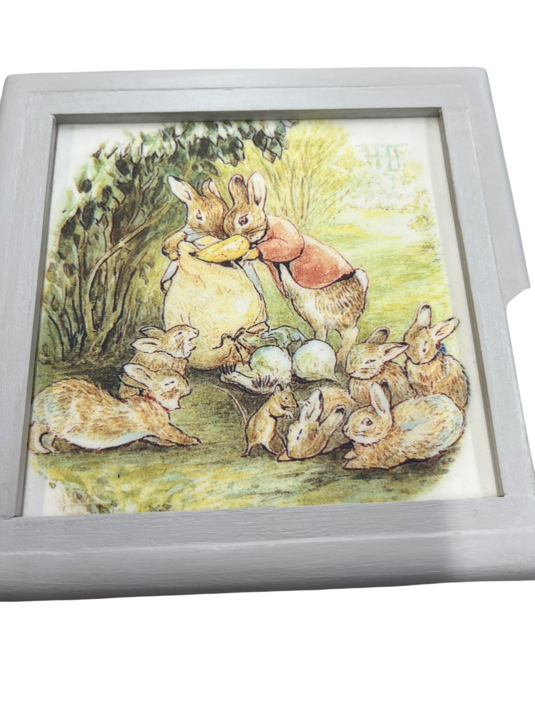 Peter Rabbit Storage box