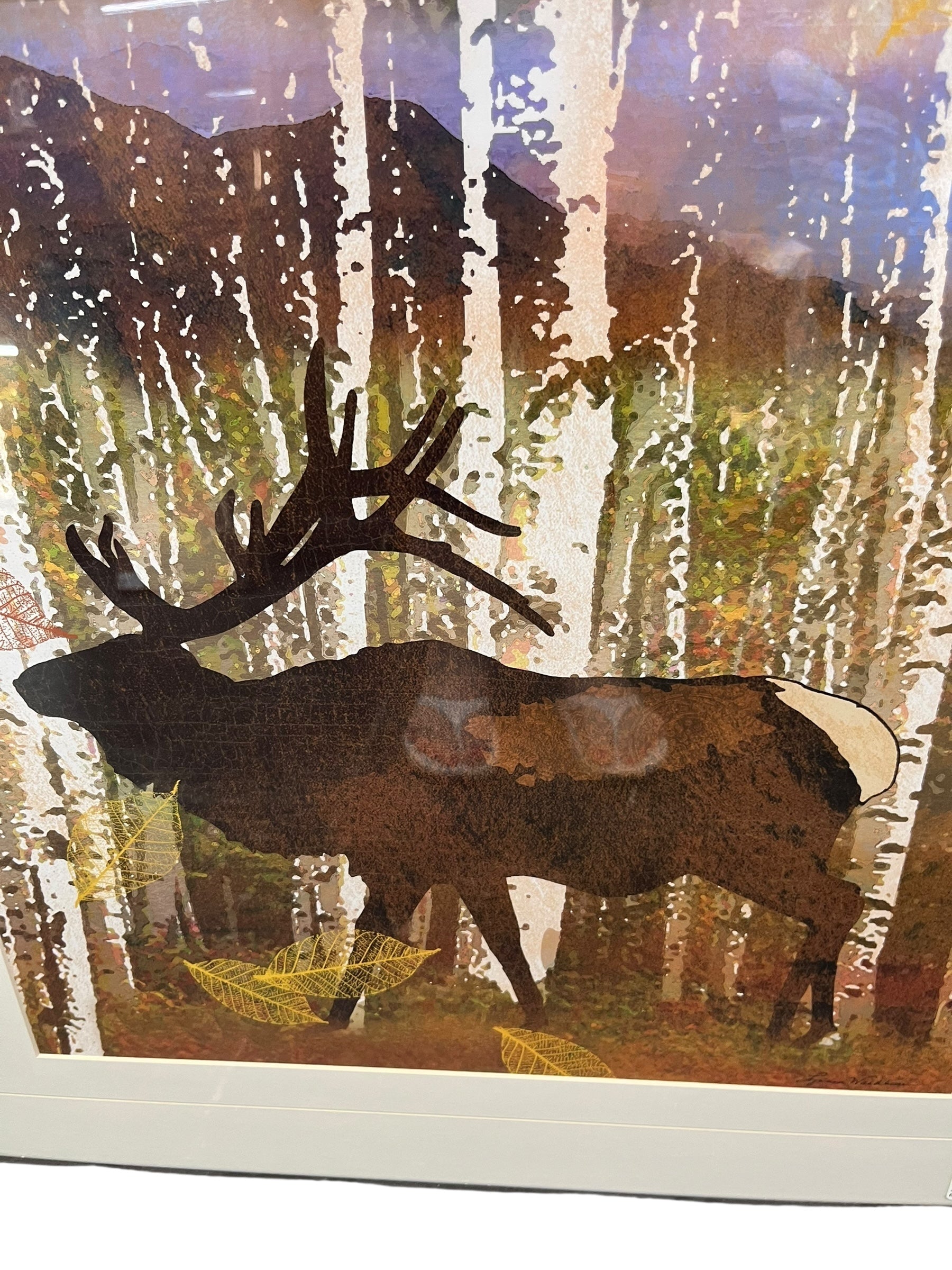 Moose Picture / Browns