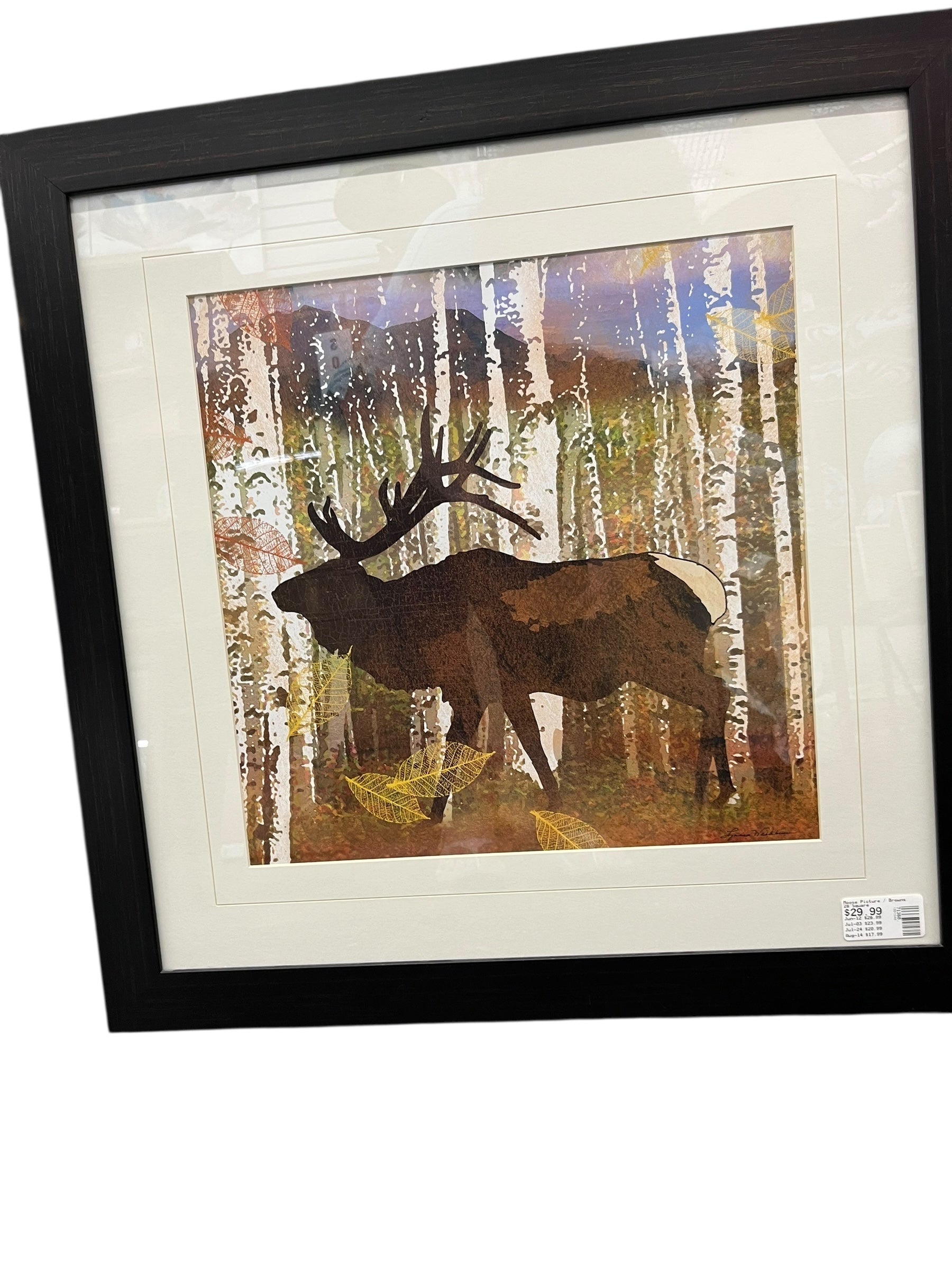 Moose Picture / Browns