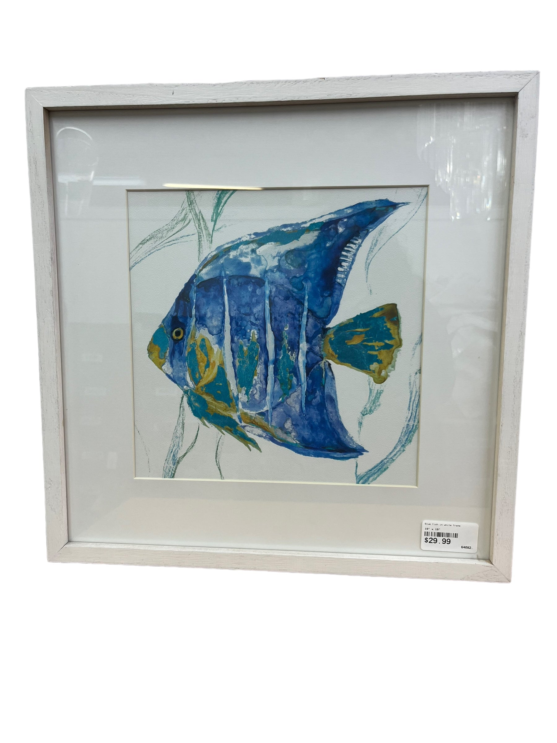 Blue fish in white frame