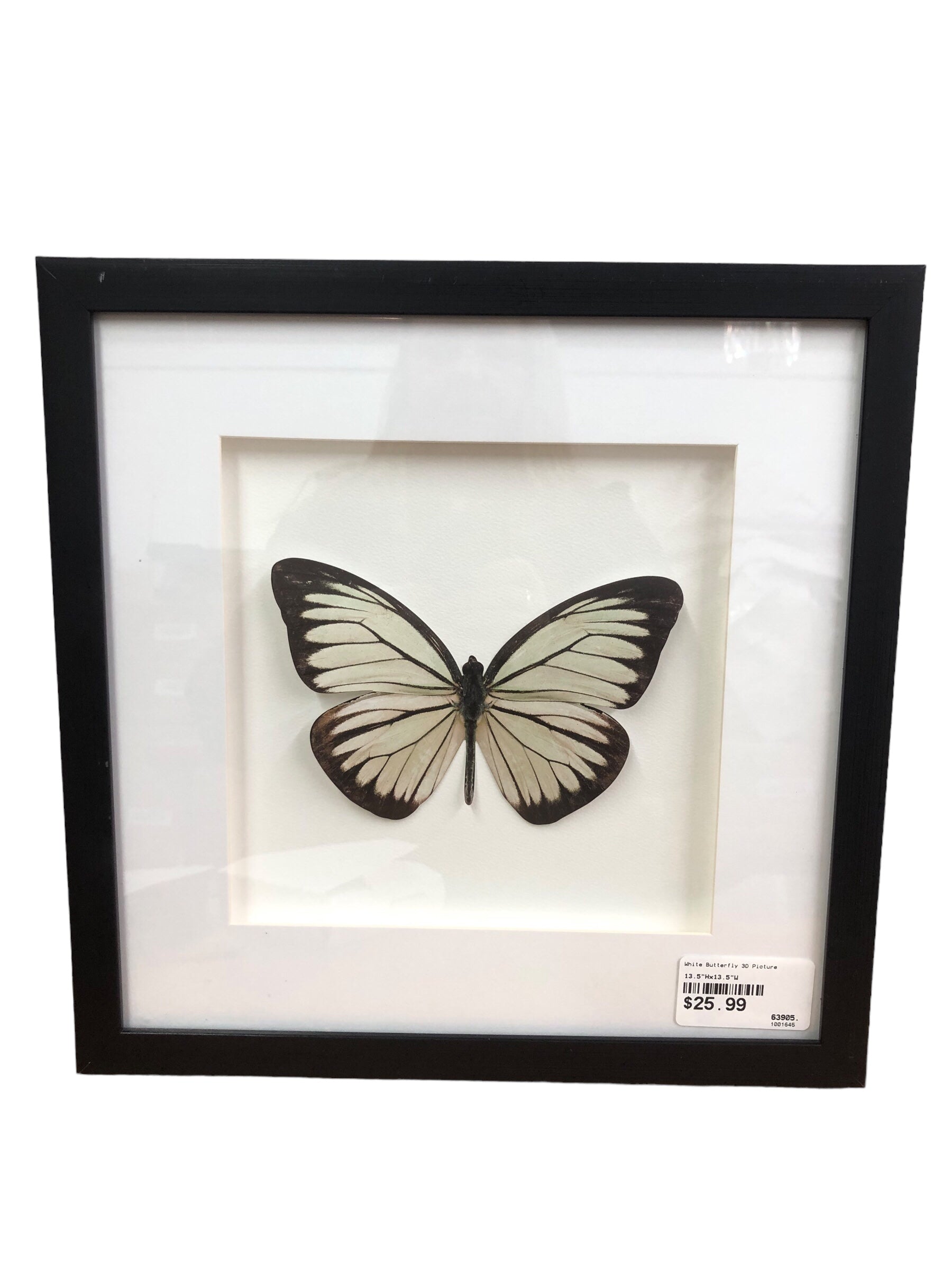 White Butterfly 3D Picture