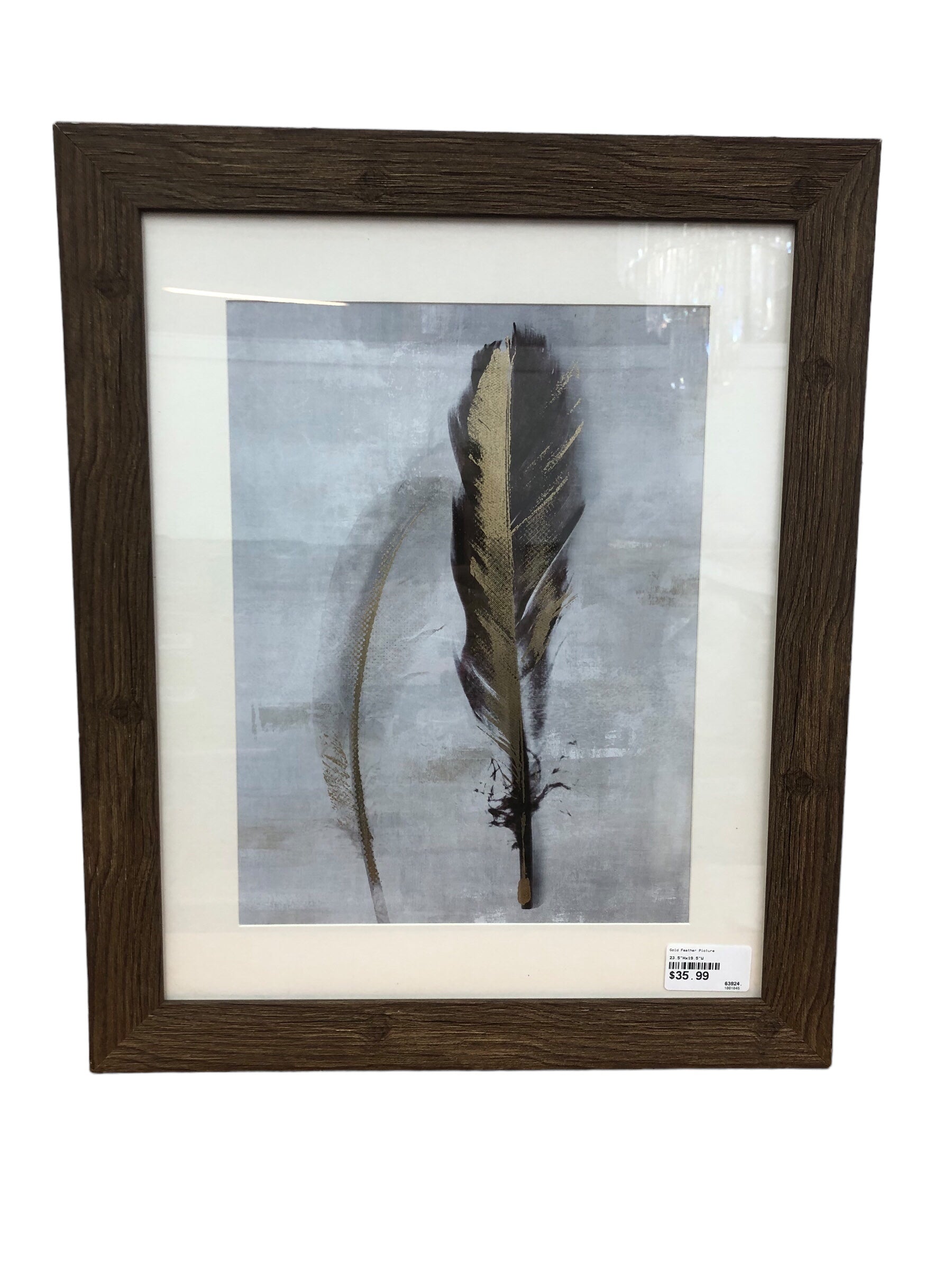 Gold Feather Picture