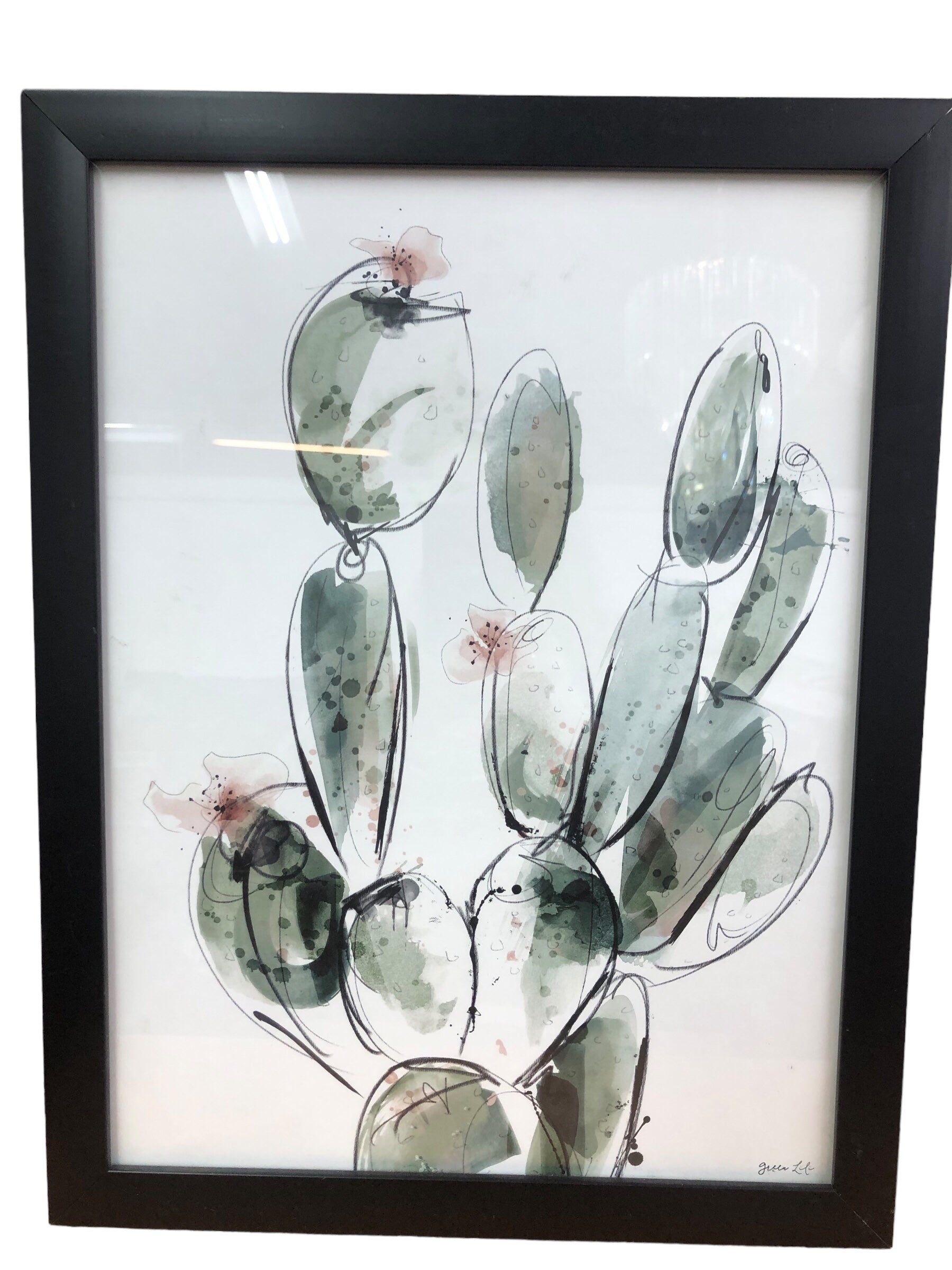 Green Cactus Watercolour Picture