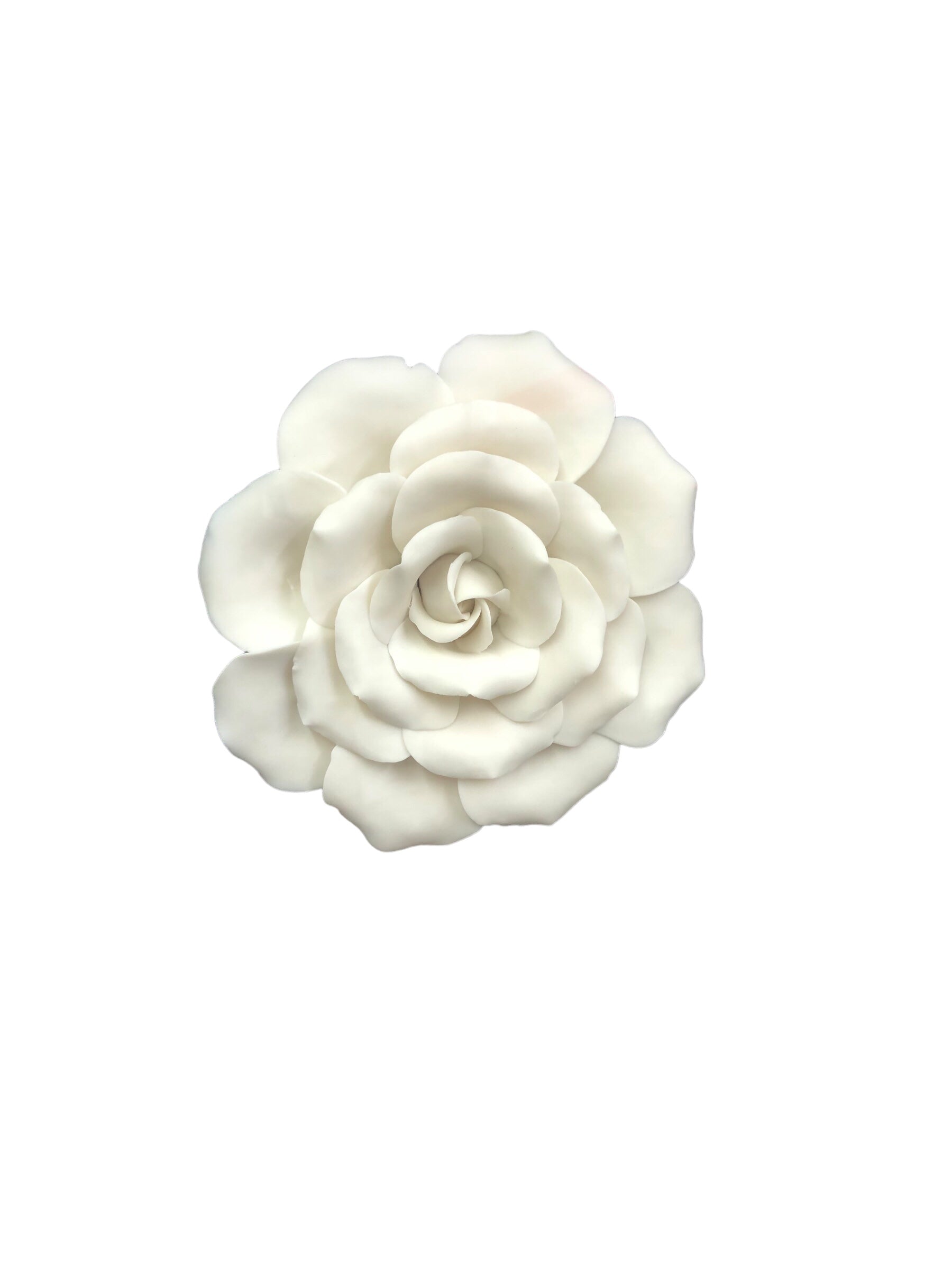 White Flower in Black Box Picture