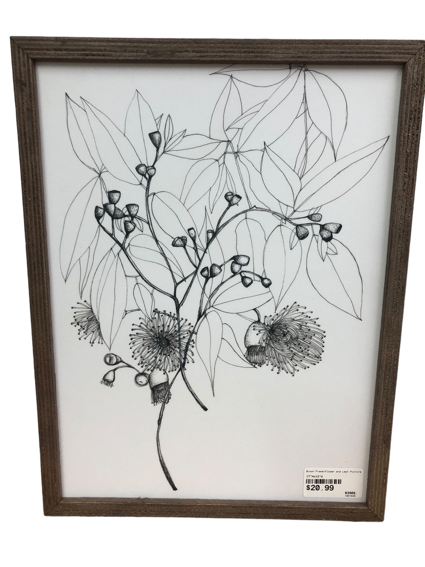 Brown Frame/Flower and Leaf Picture