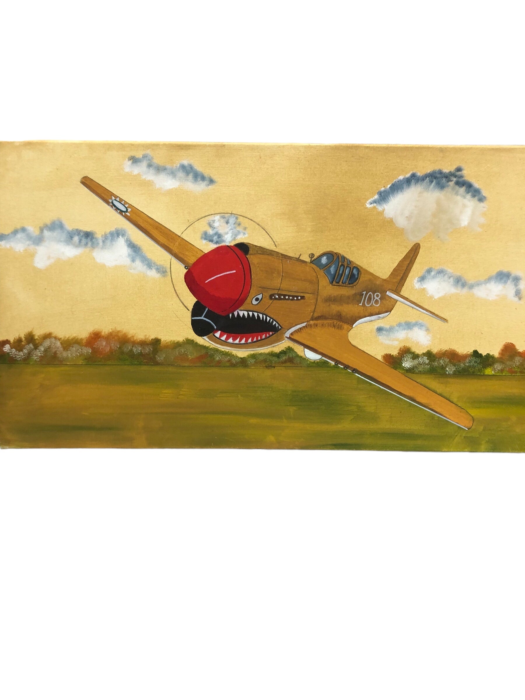 P40 Warhawk Airplane Painting