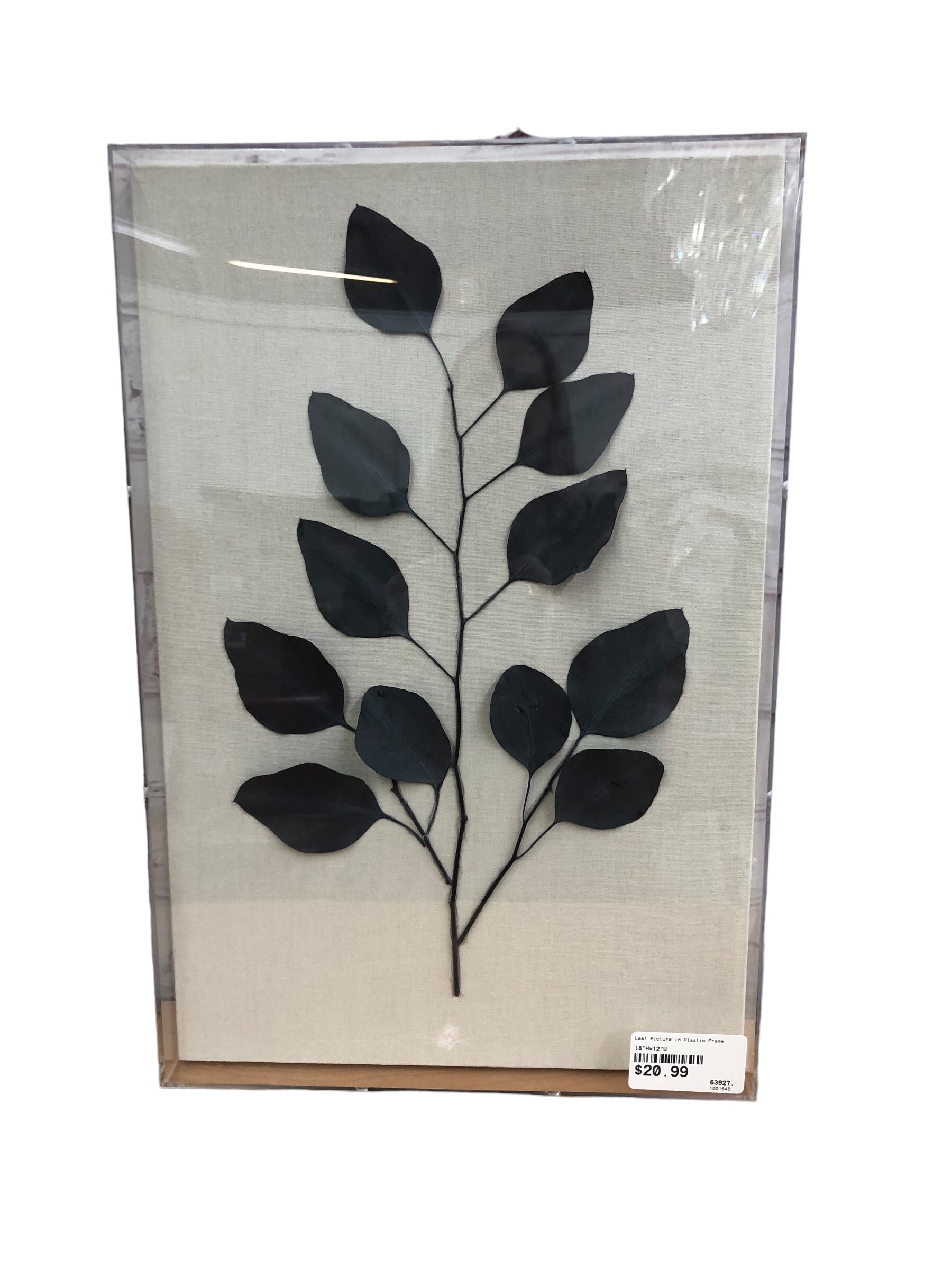 Leaf Picture in Plastic Frame