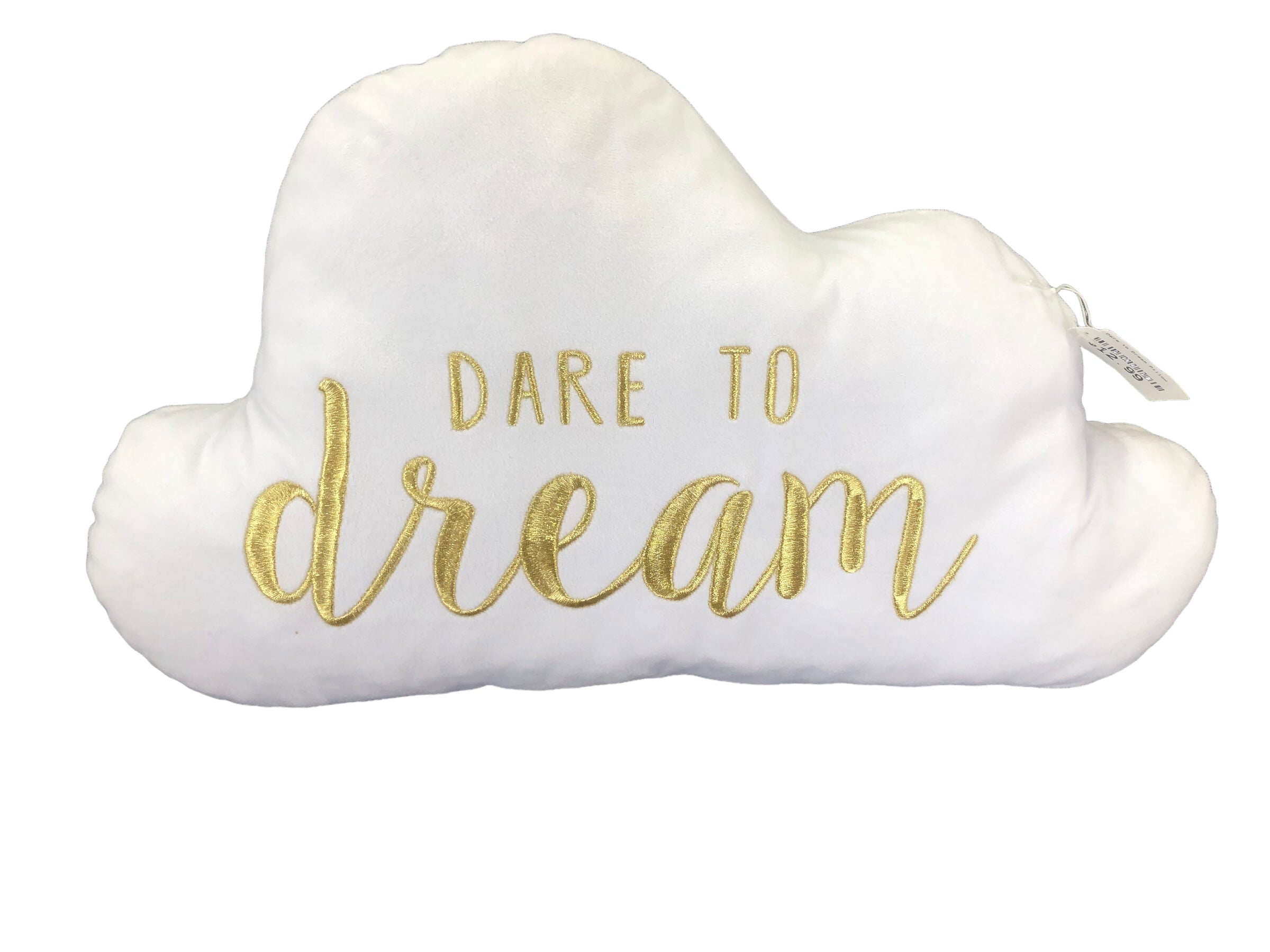 Dare to Dream Pillow