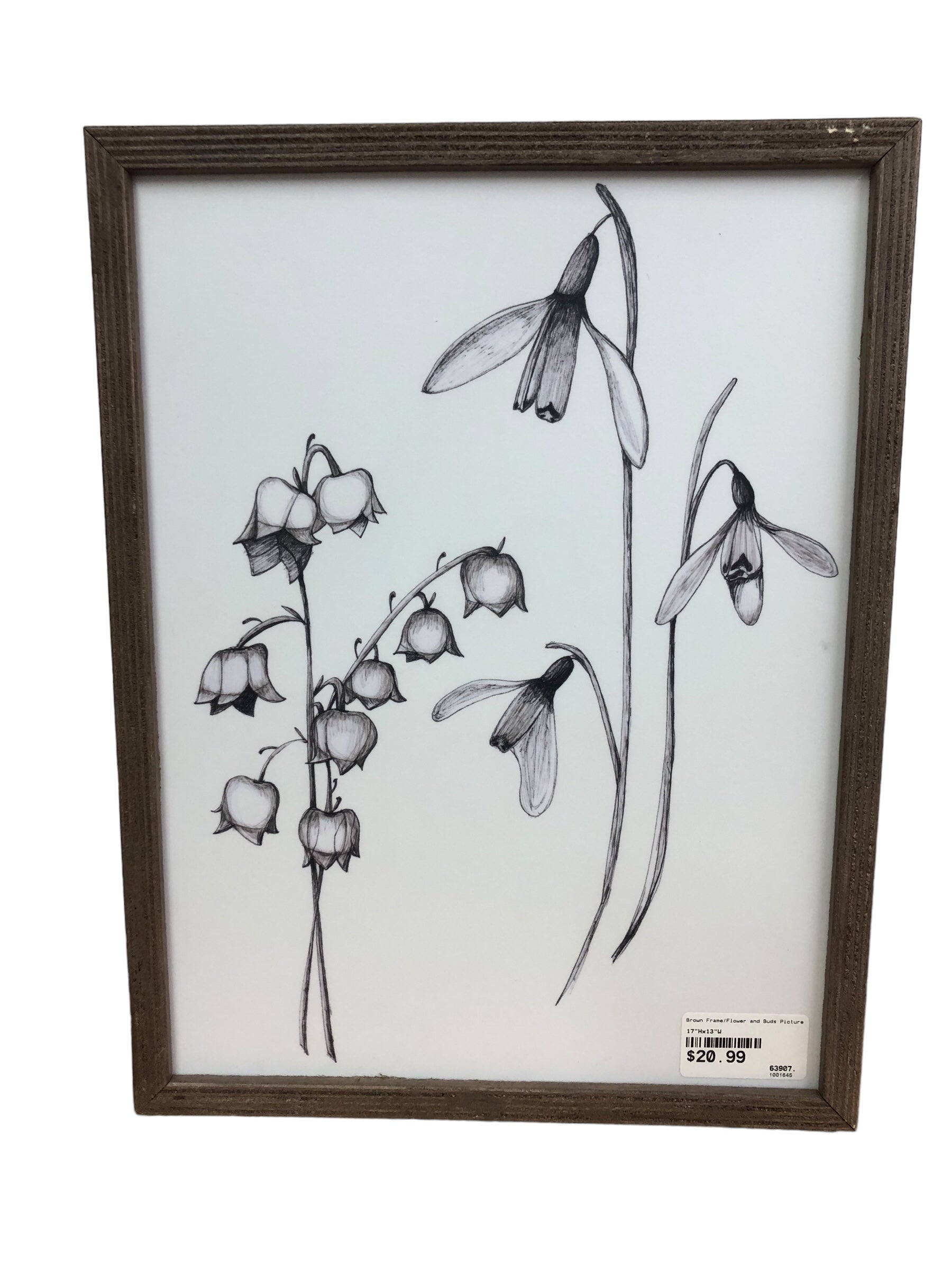 Brown Frame/Flower and Buds Picture