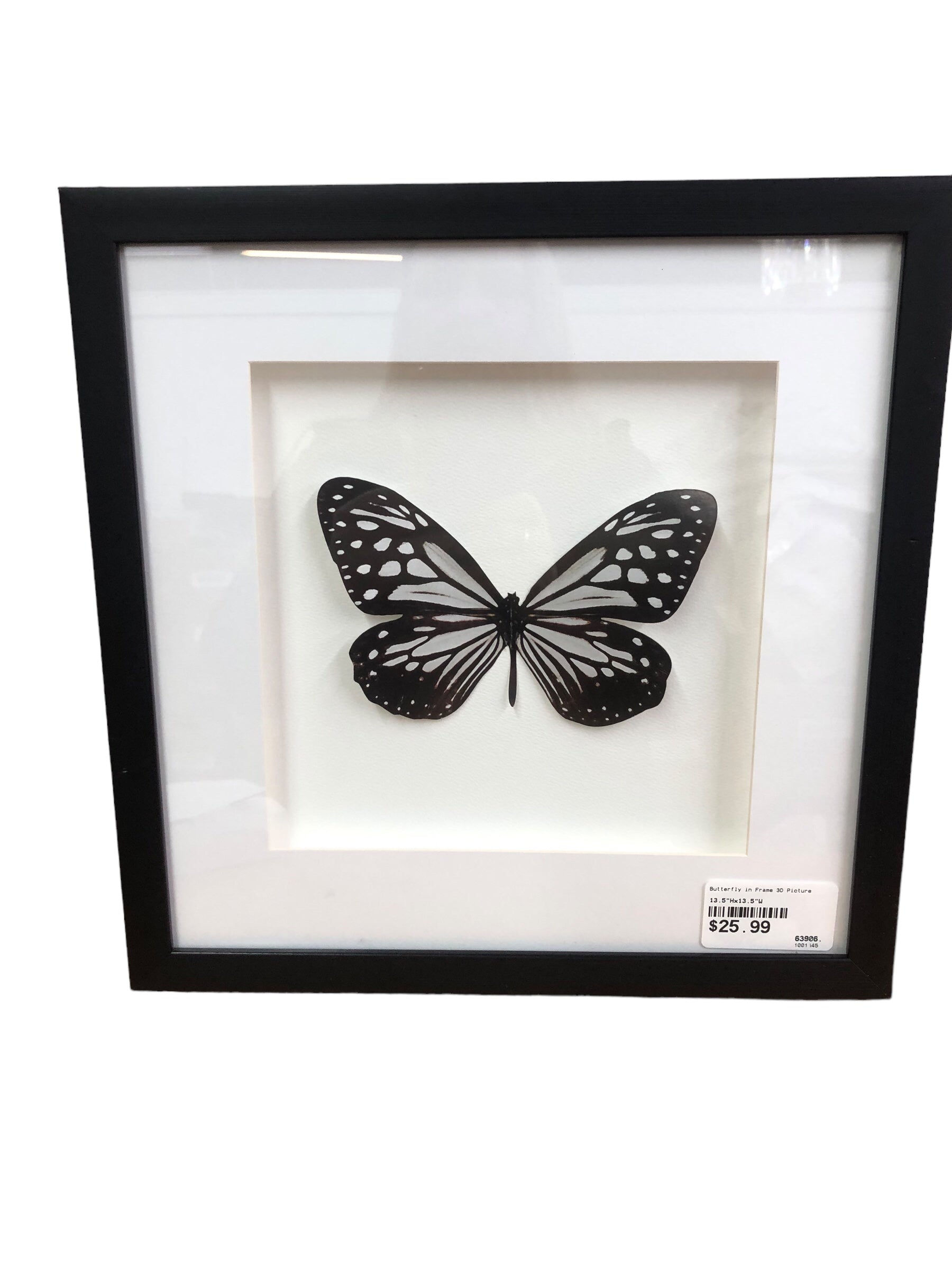 Butterfly in Frame 3D Picture