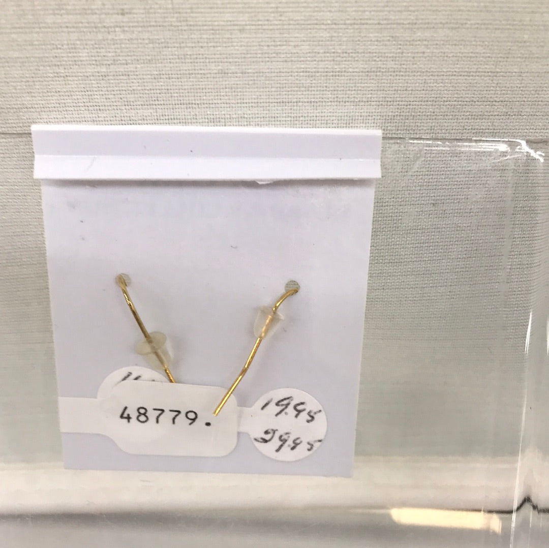 16kt Gold Plated Shell Earrings