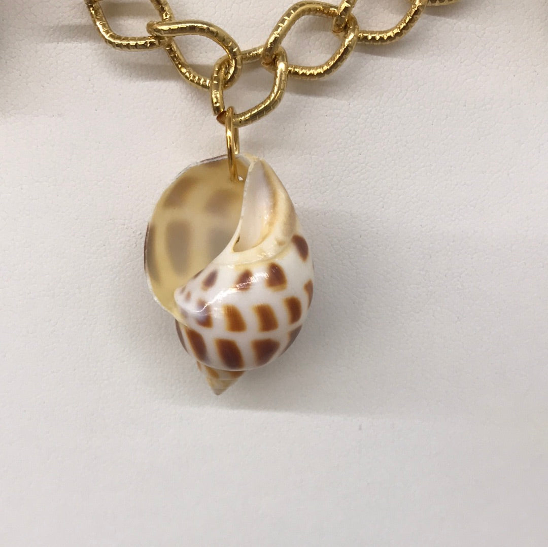 20" Gold Chain with Shells