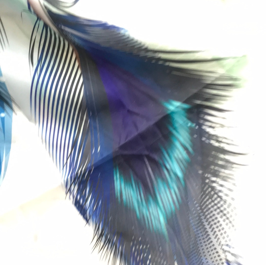 Fashion shower curtain (Peacock Feathers)